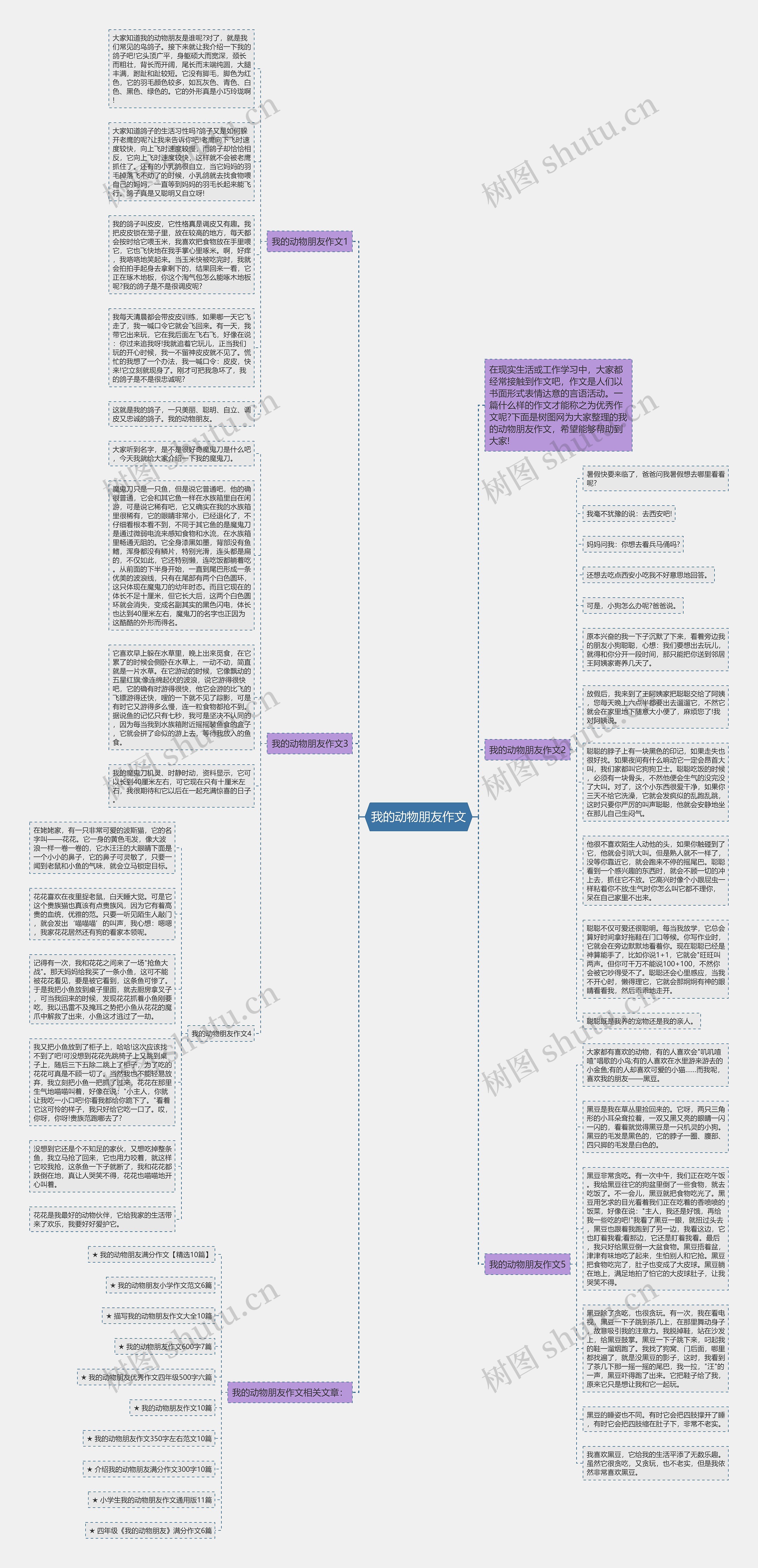 我的动物朋友作文思维导图