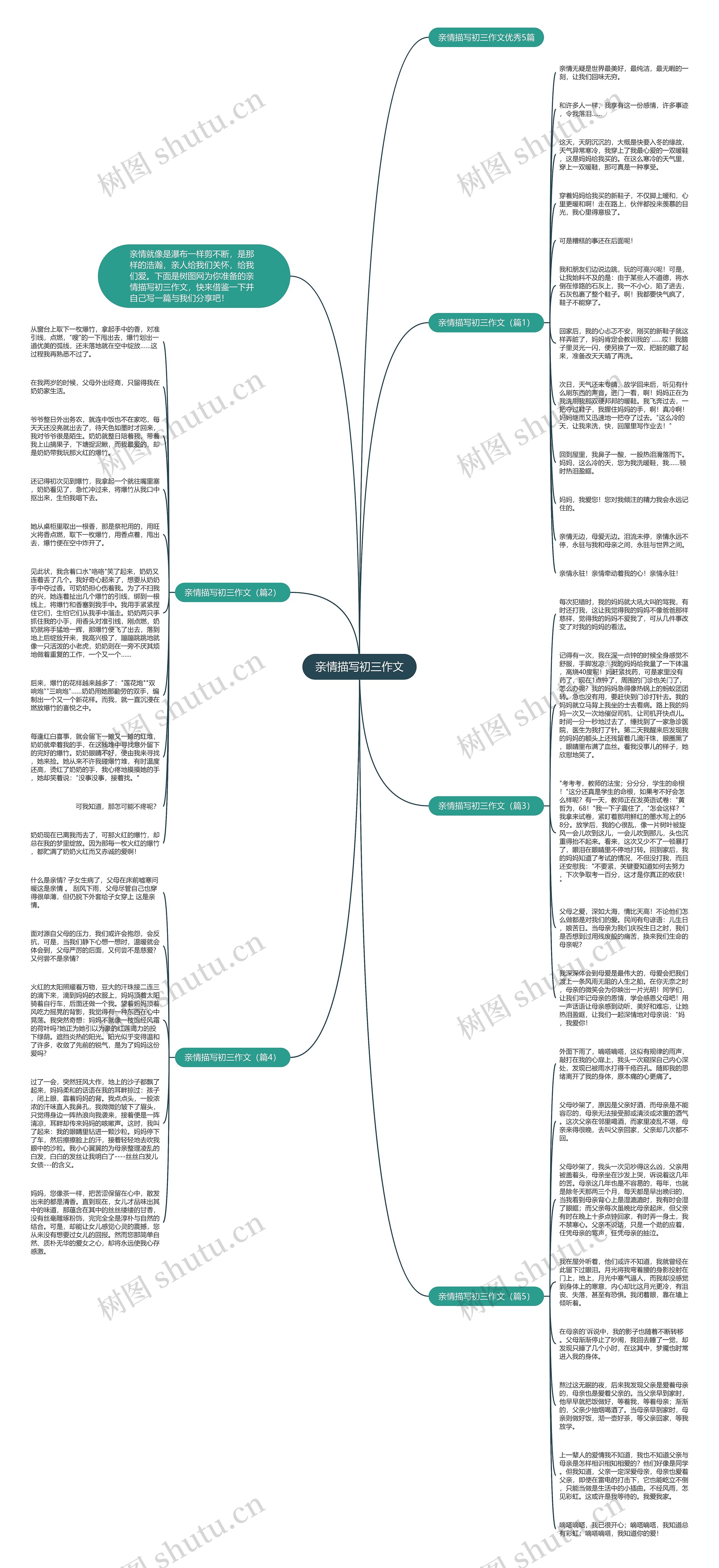 亲情描写初三作文思维导图