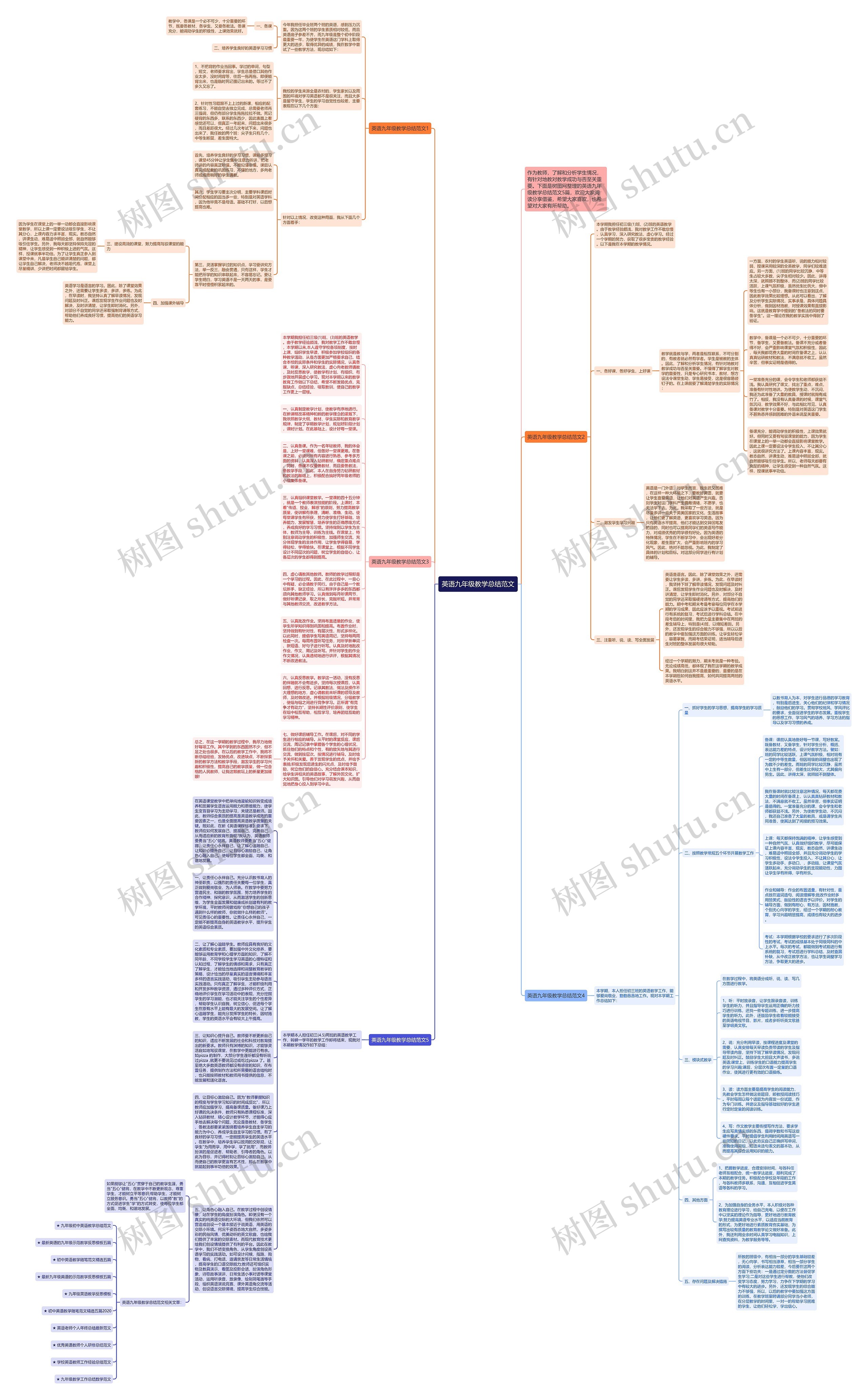 英语九年级教学总结范文思维导图