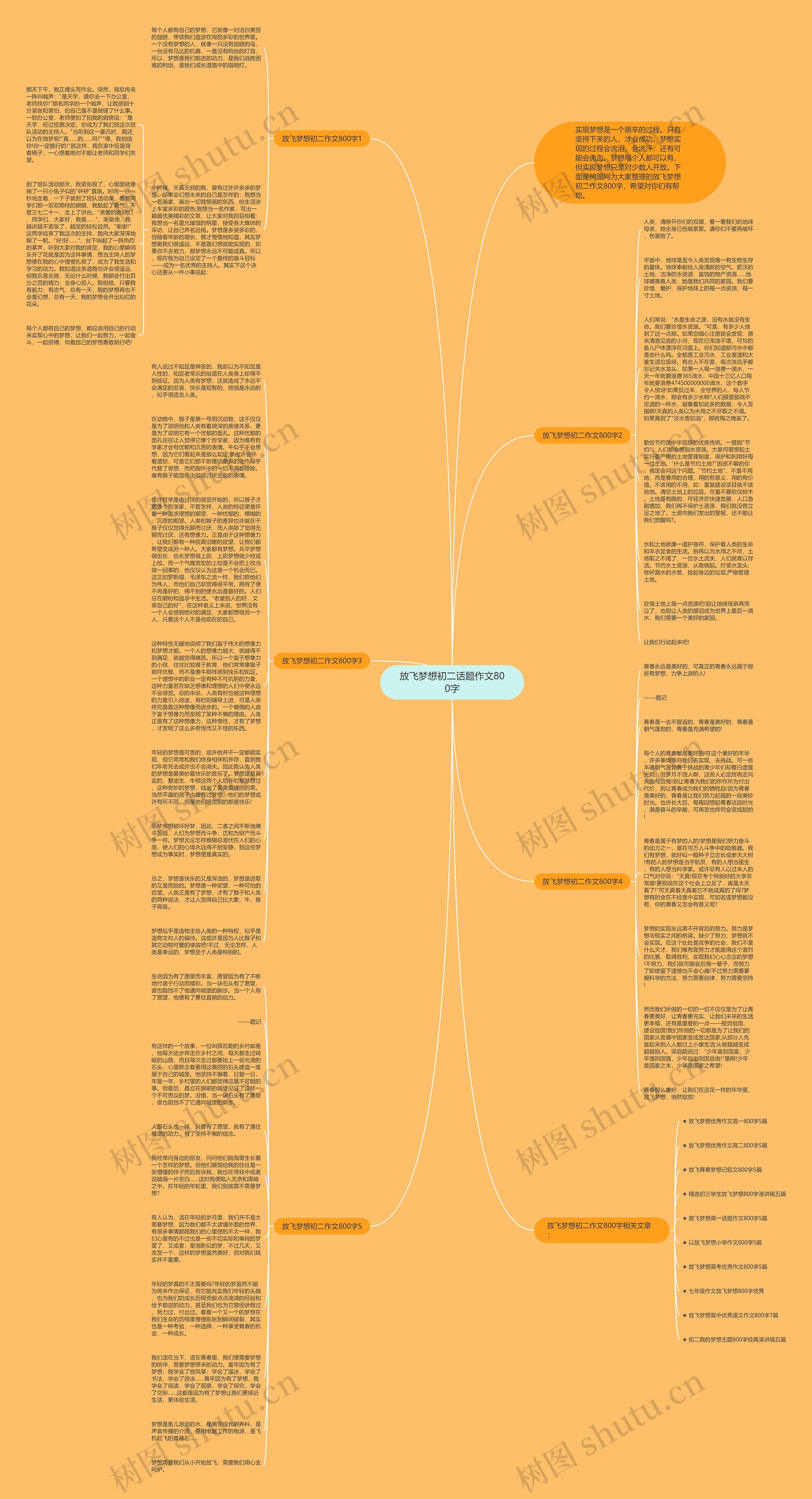 放飞梦想初二话题作文800字思维导图