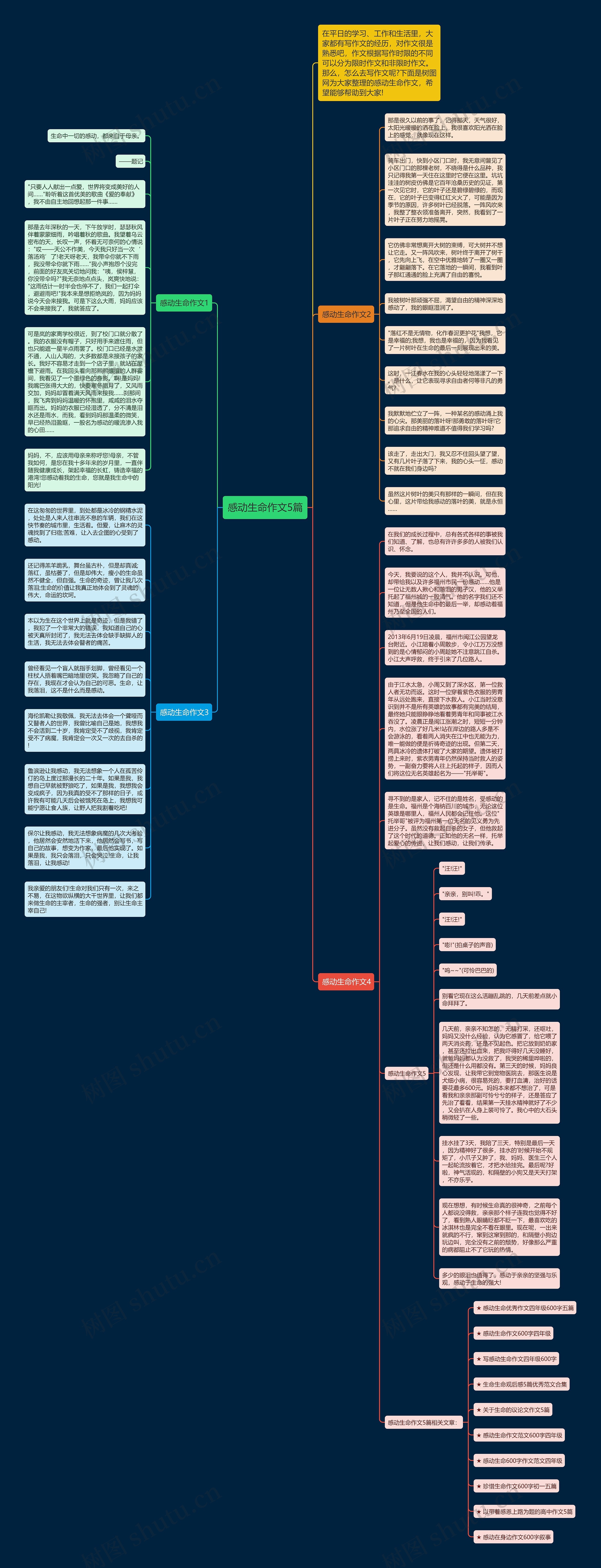 感动生命作文5篇思维导图