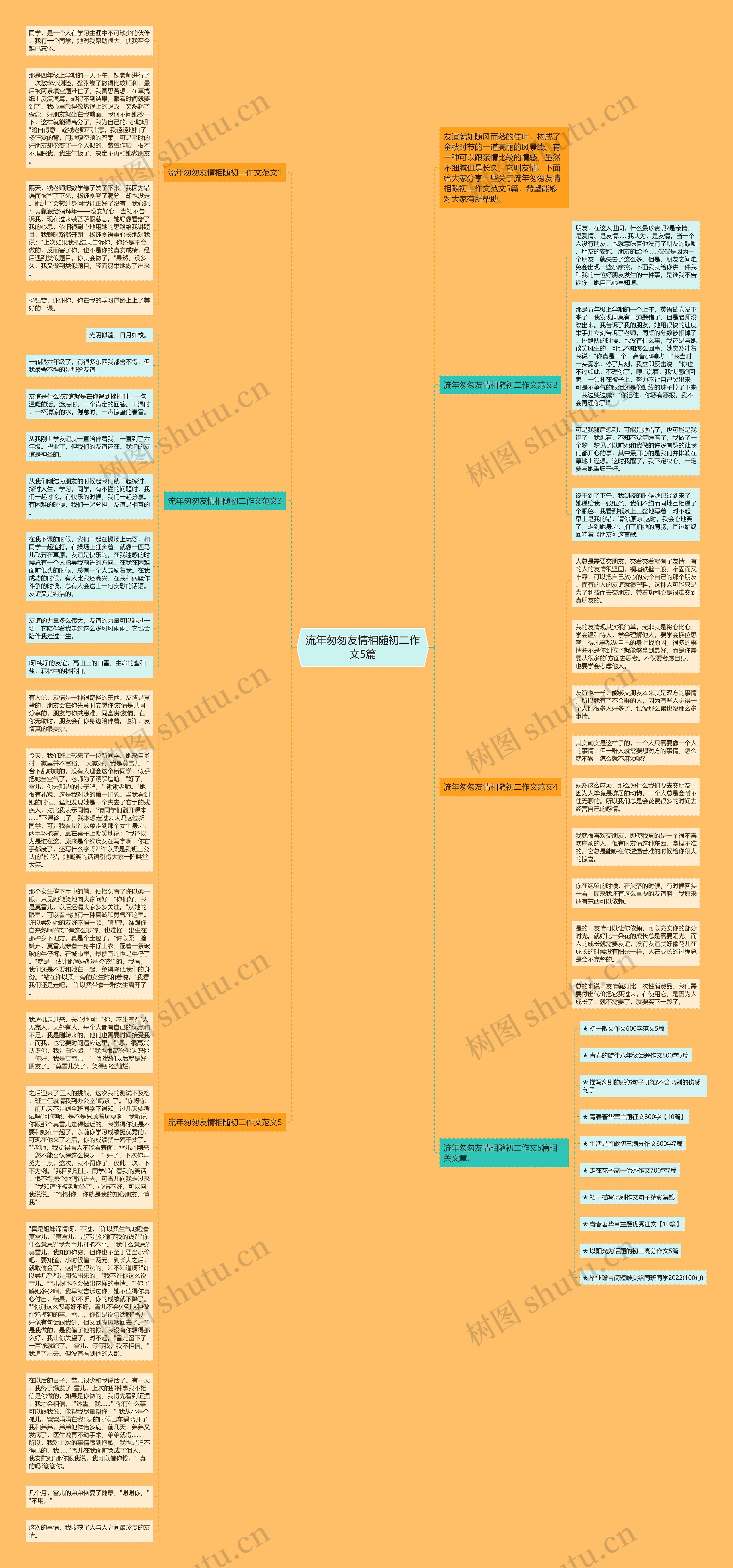 流年匆匆友情相随初二作文5篇思维导图