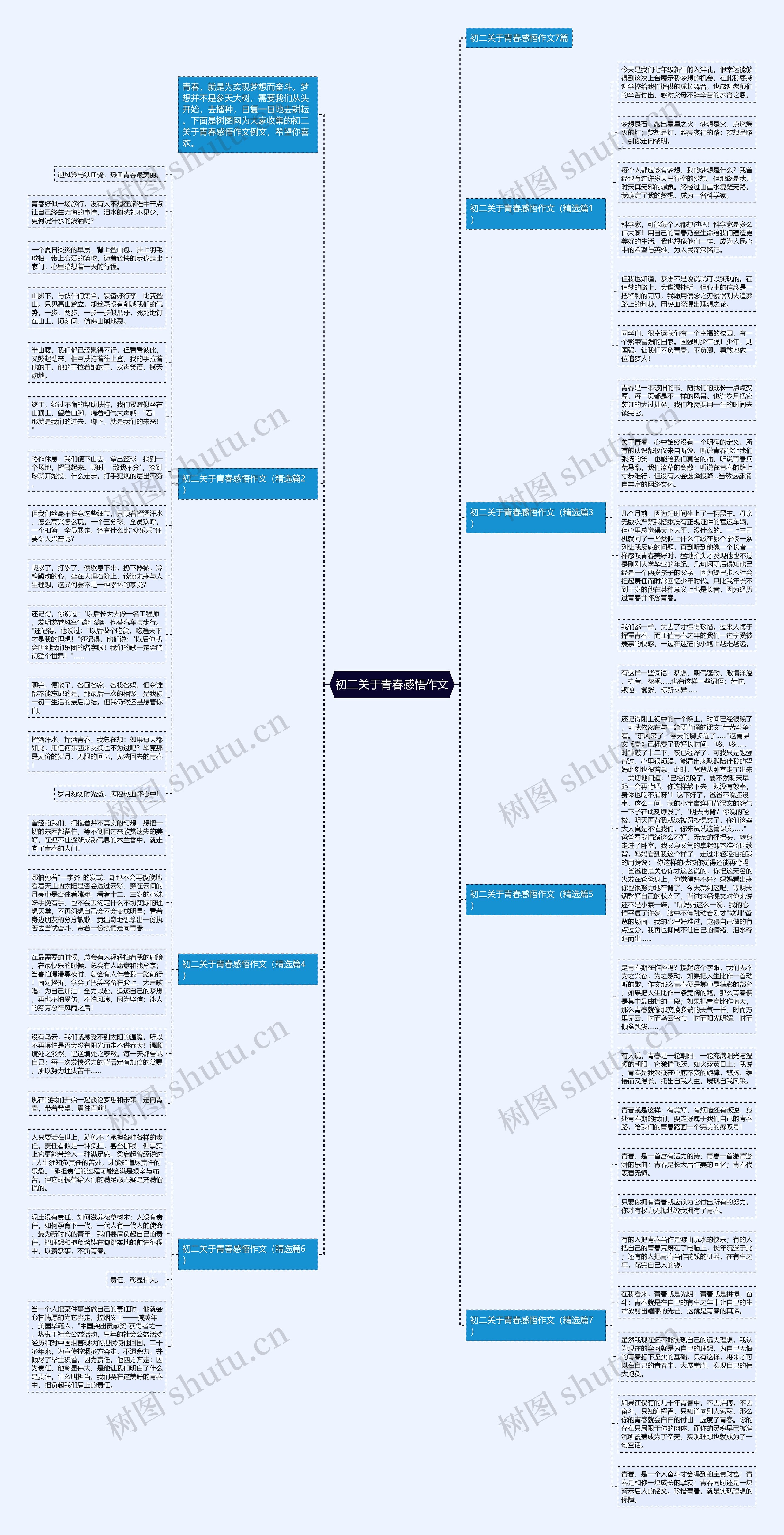初二关于青春感悟作文思维导图