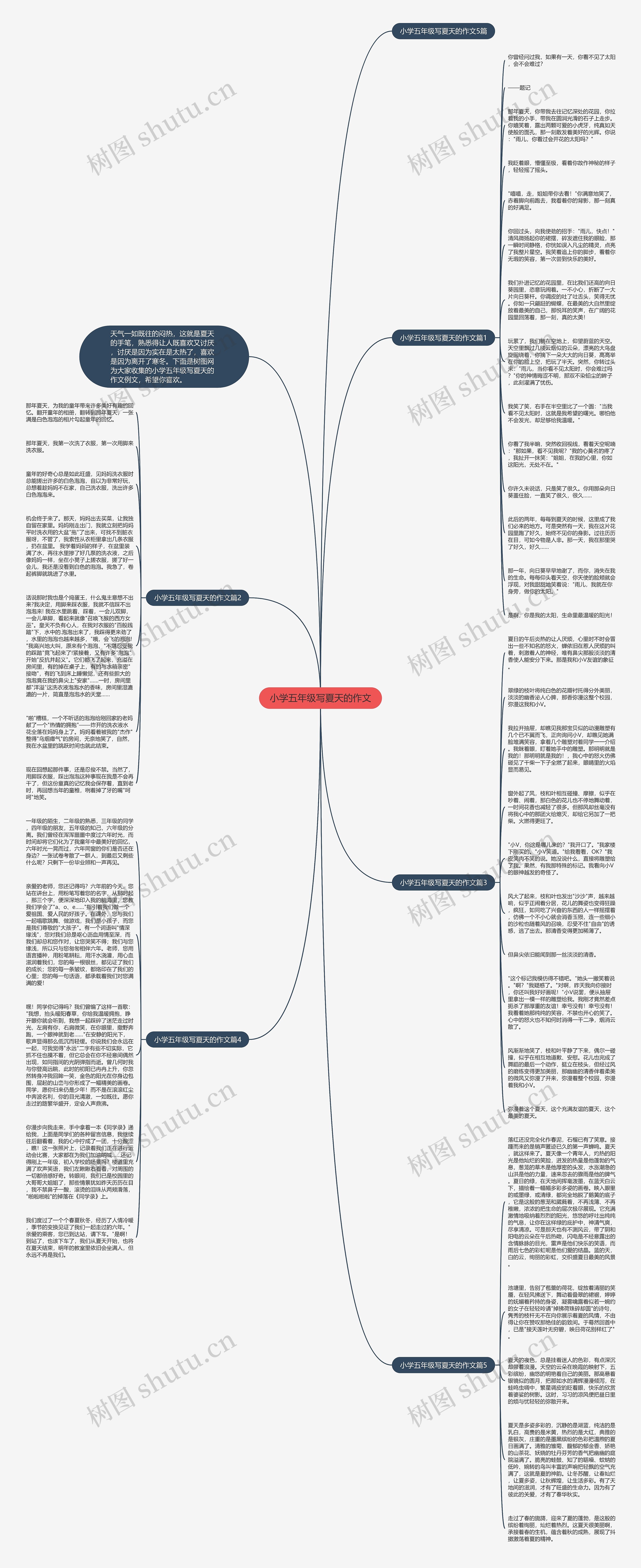 小学五年级写夏天的作文思维导图