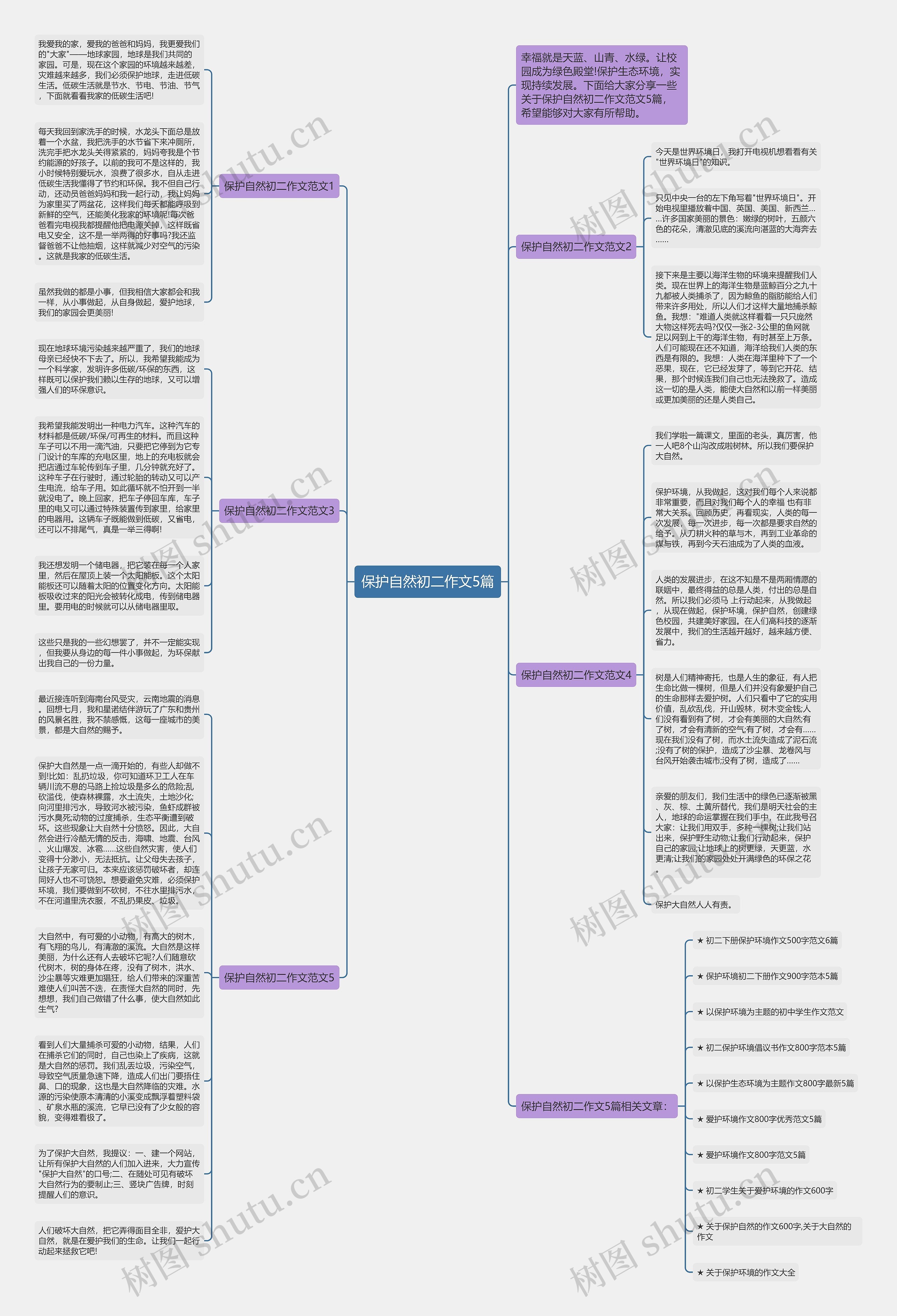 保护自然初二作文5篇思维导图