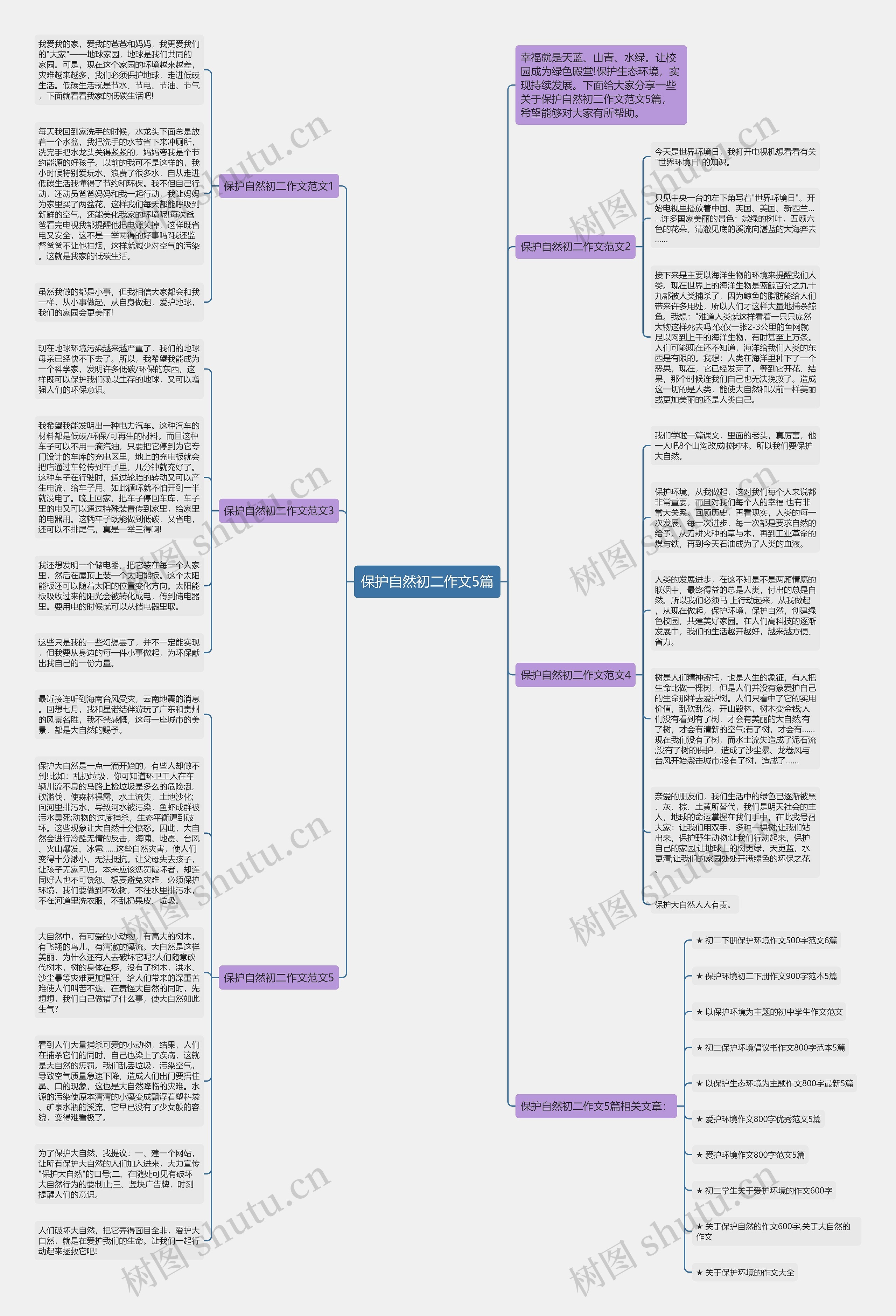 保护自然初二作文5篇思维导图高清图 保护自然初二作文5篇思维导图