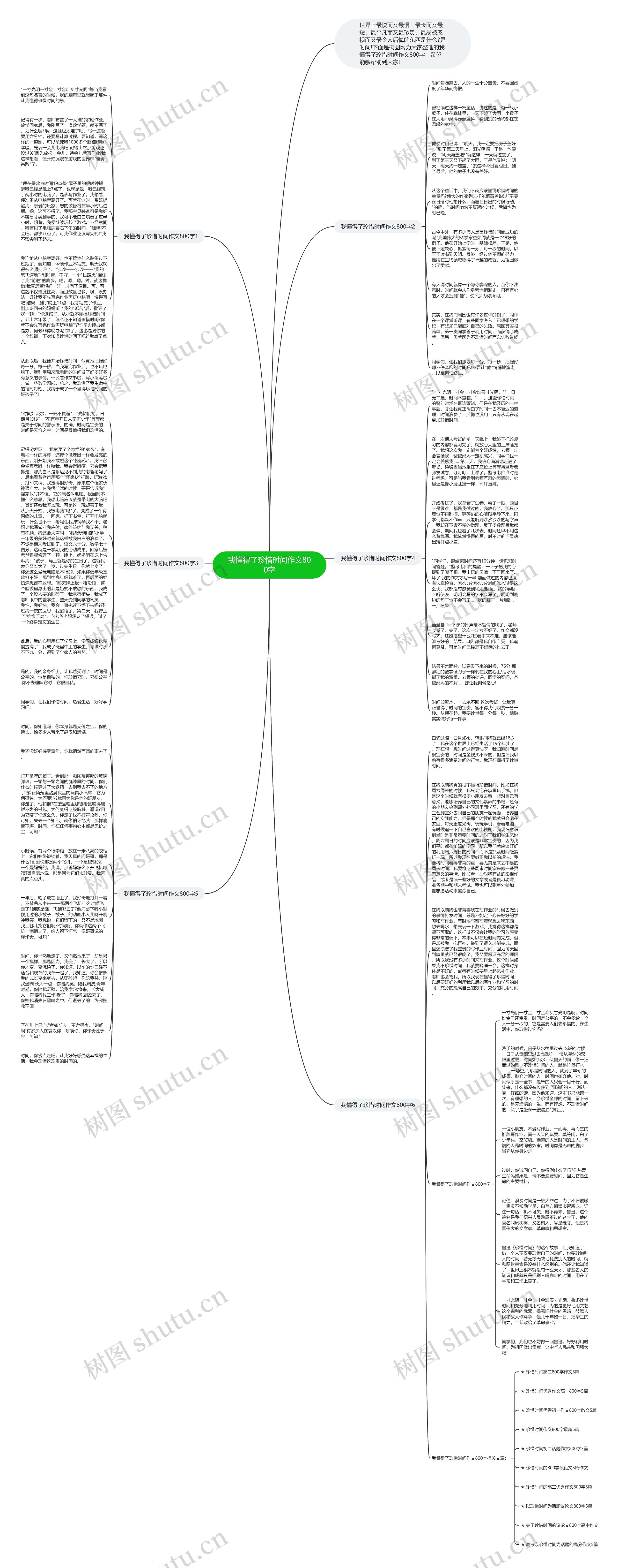 我懂得了珍惜时间作文800字思维导图