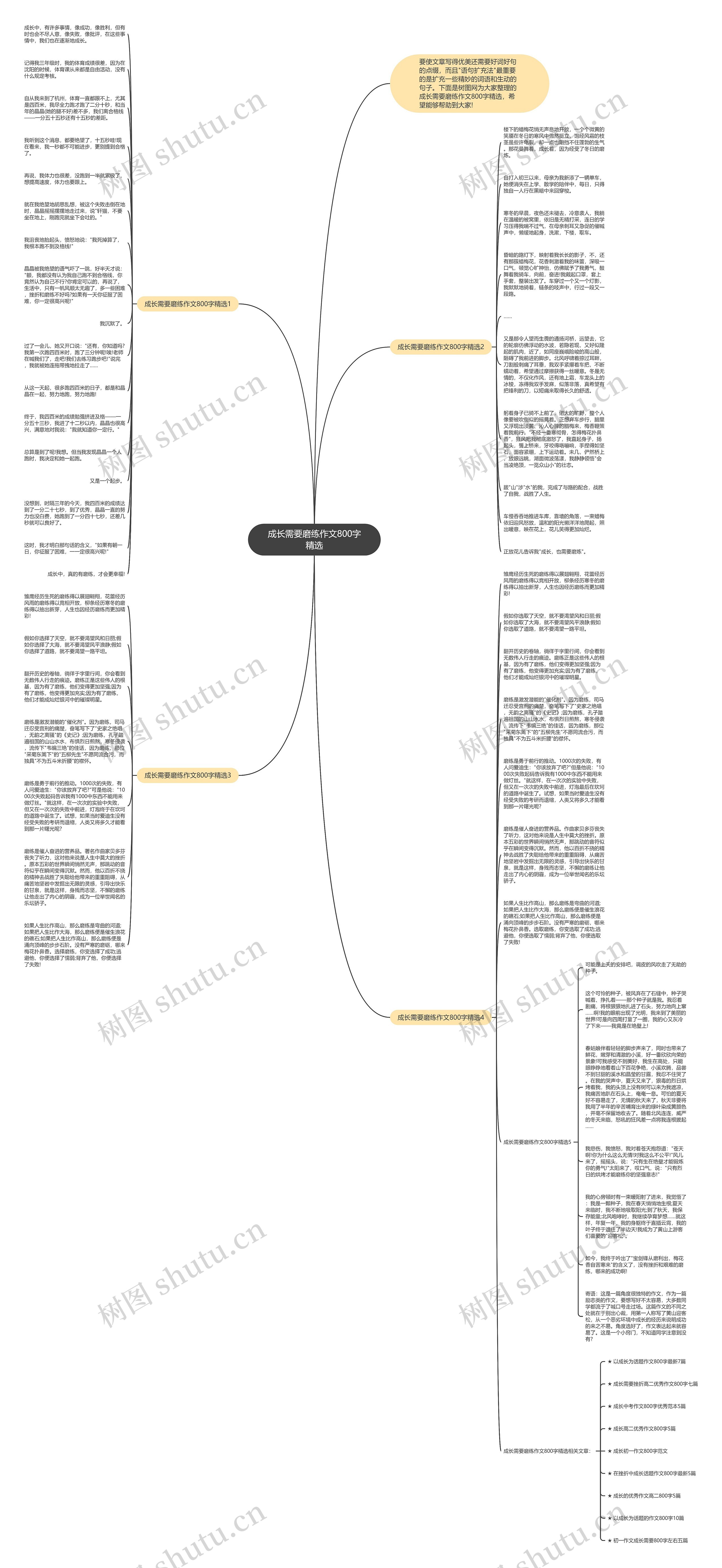 成长需要磨练作文800字精选思维导图