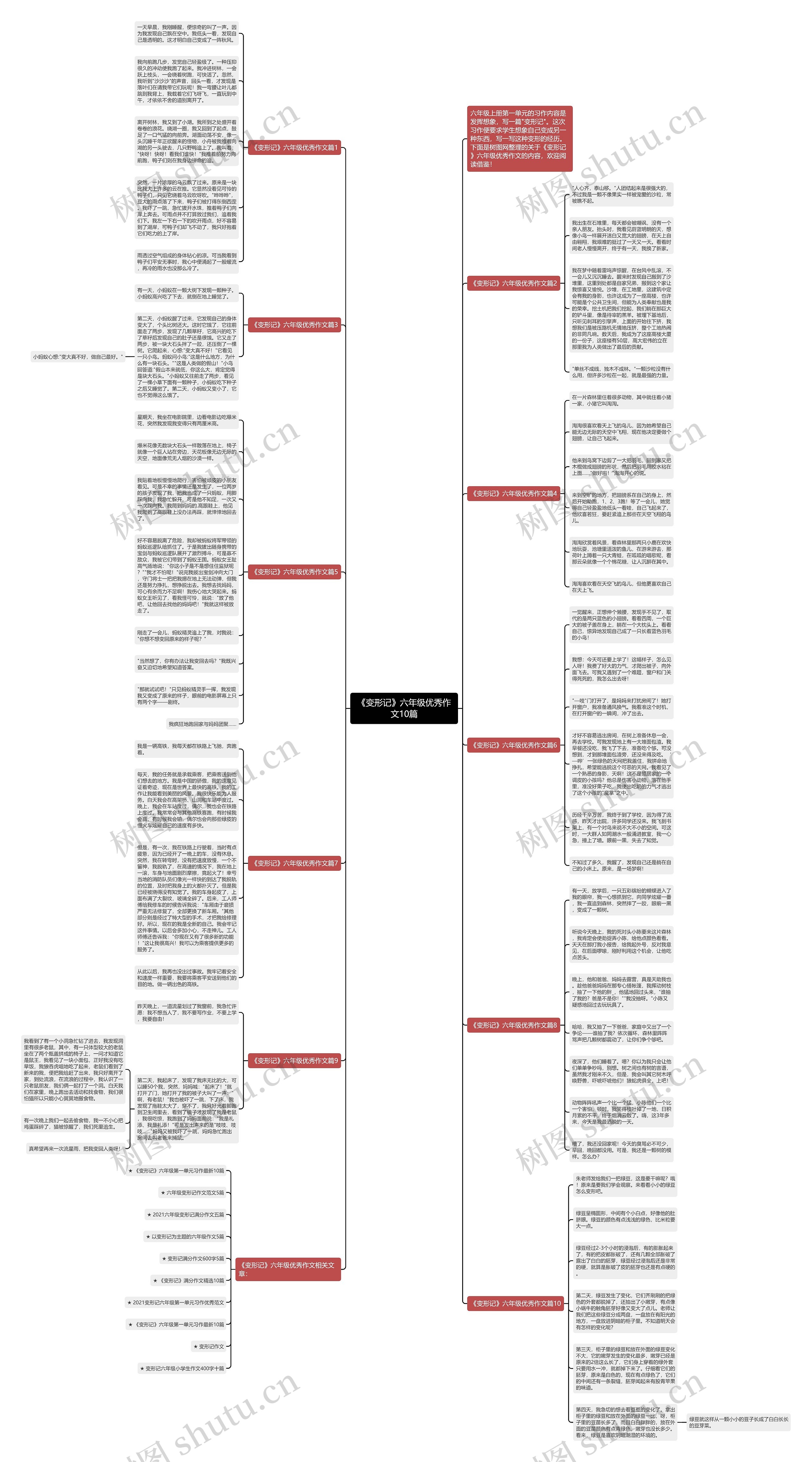 《变形记》六年级优秀作文10篇思维导图