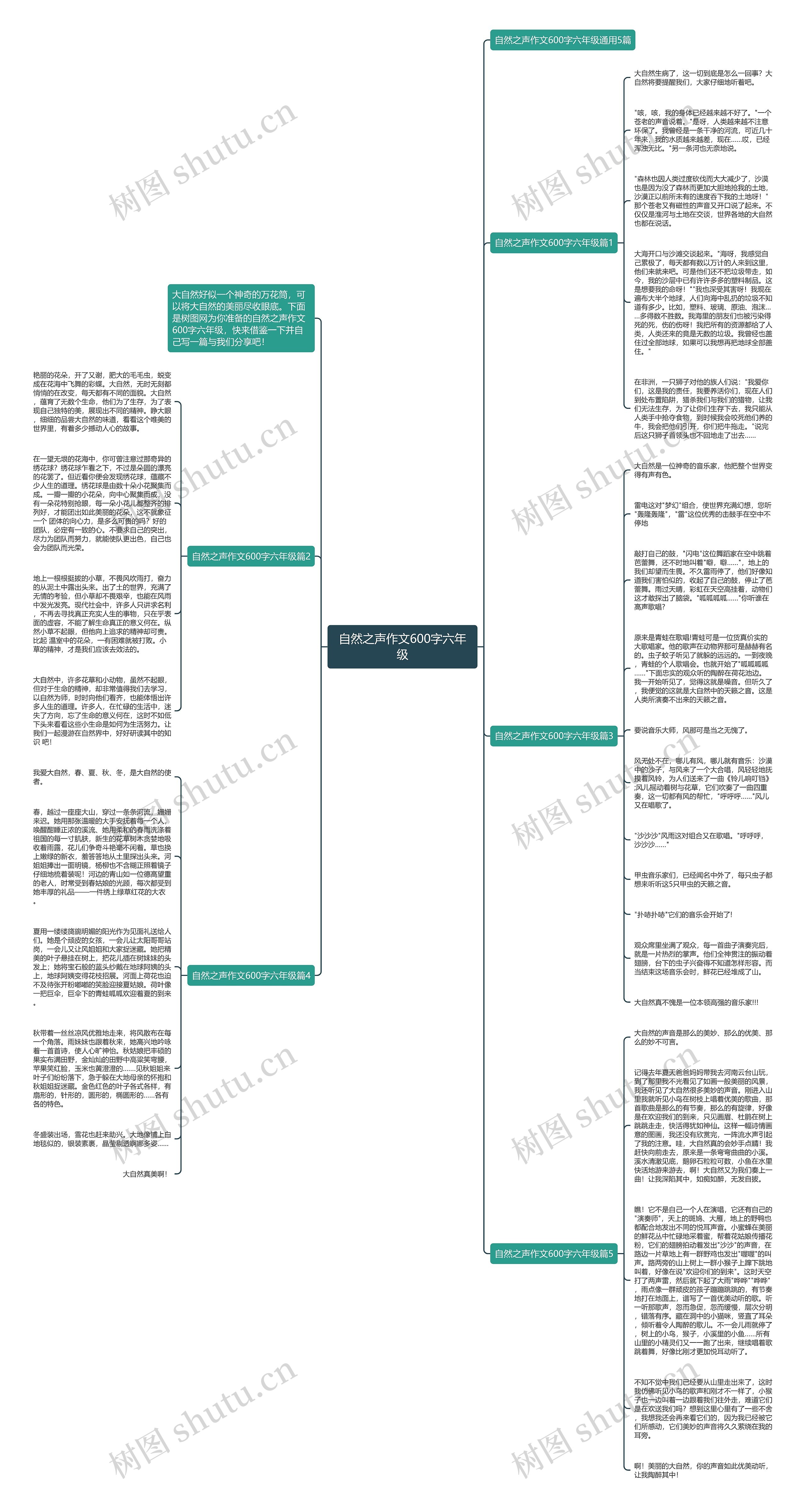 自然之声作文600字六年级思维导图
