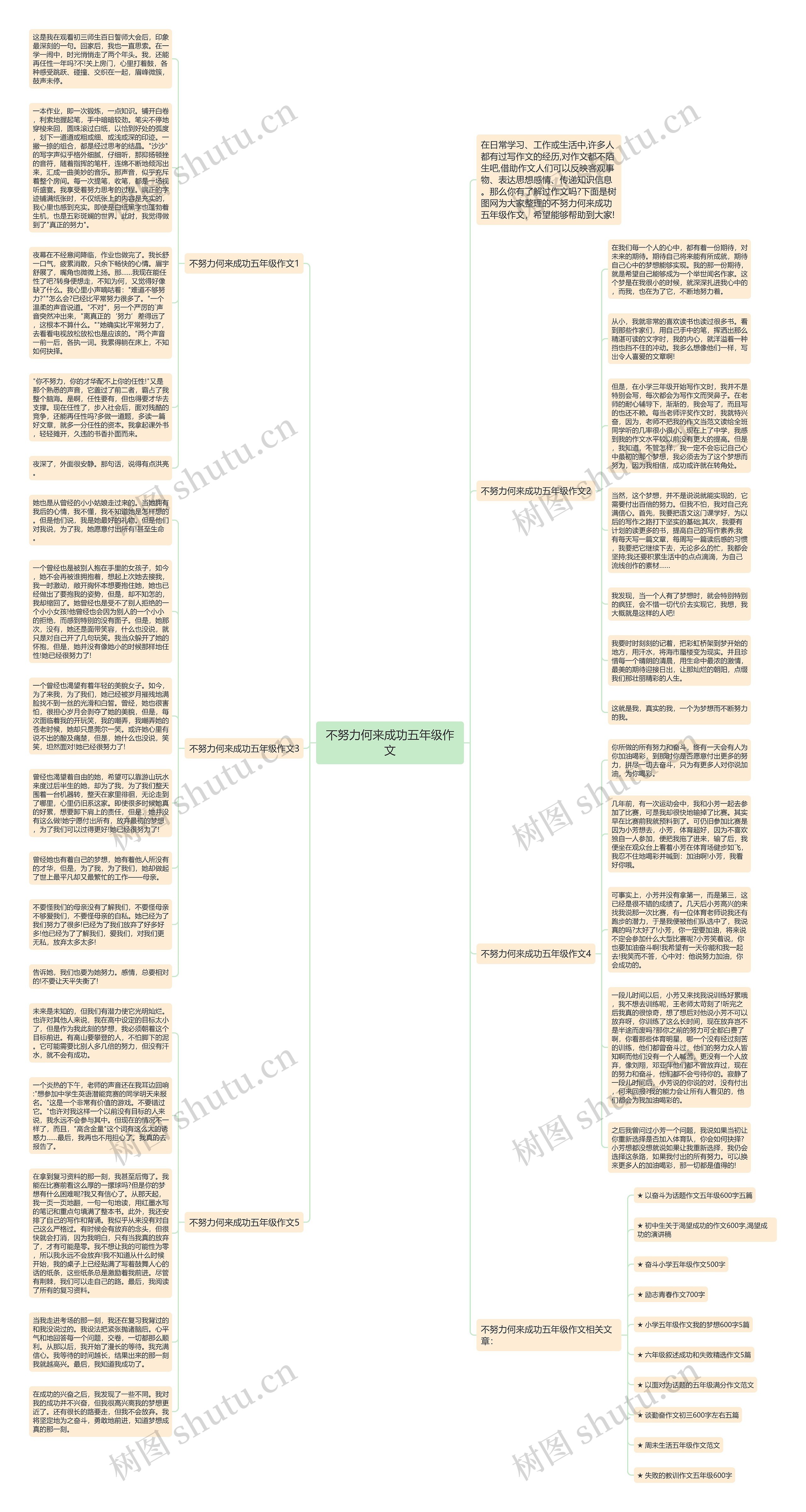 不努力何来成功五年级作文思维导图