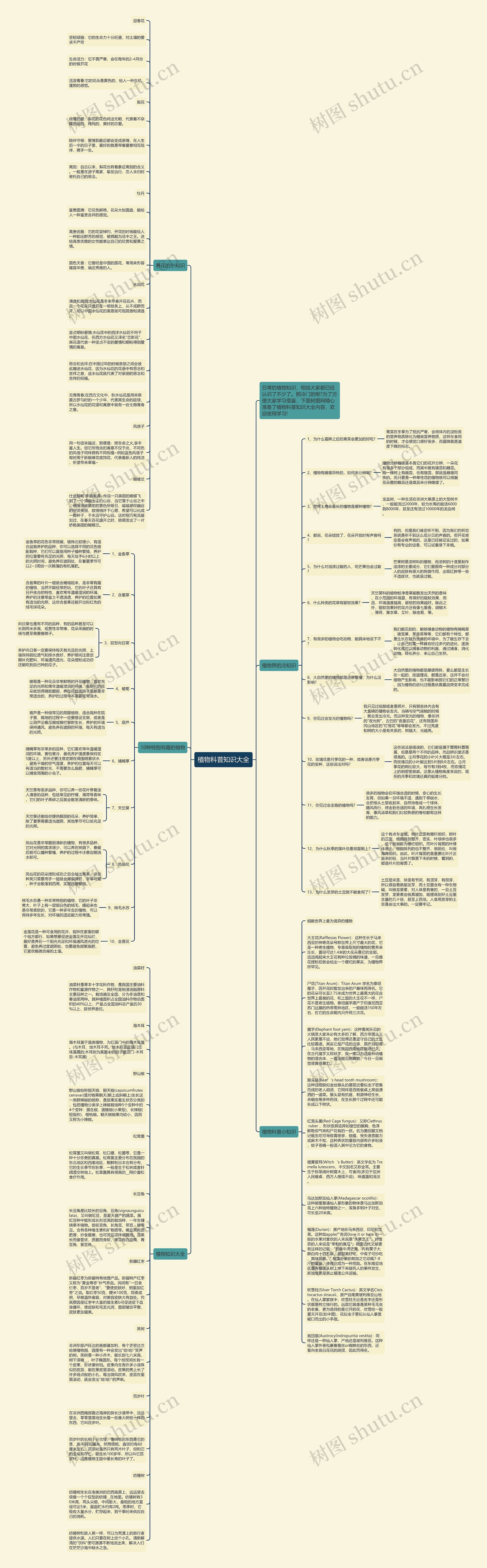 植物科普知识大全思维导图
