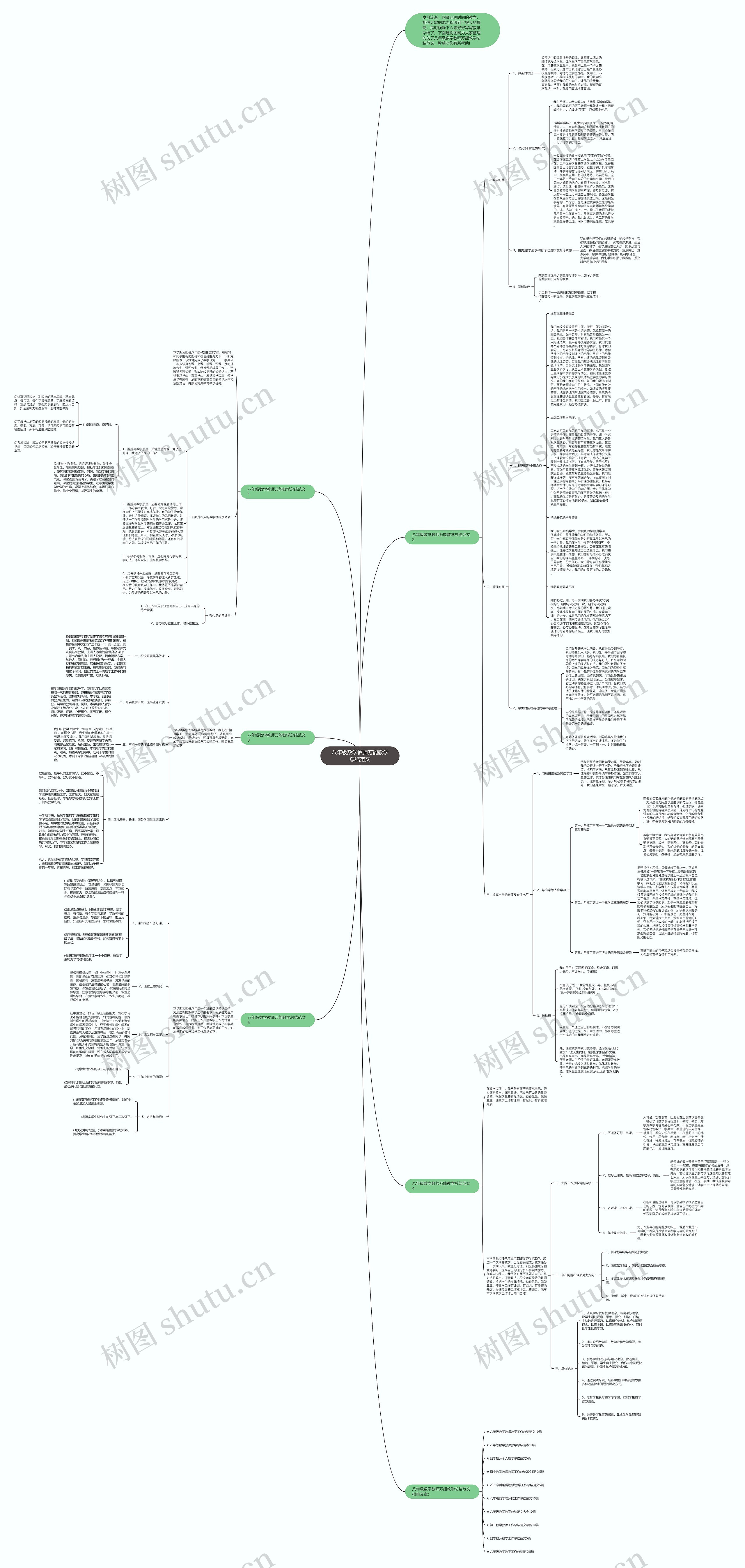 八年级数学教师万能教学总结范文思维导图