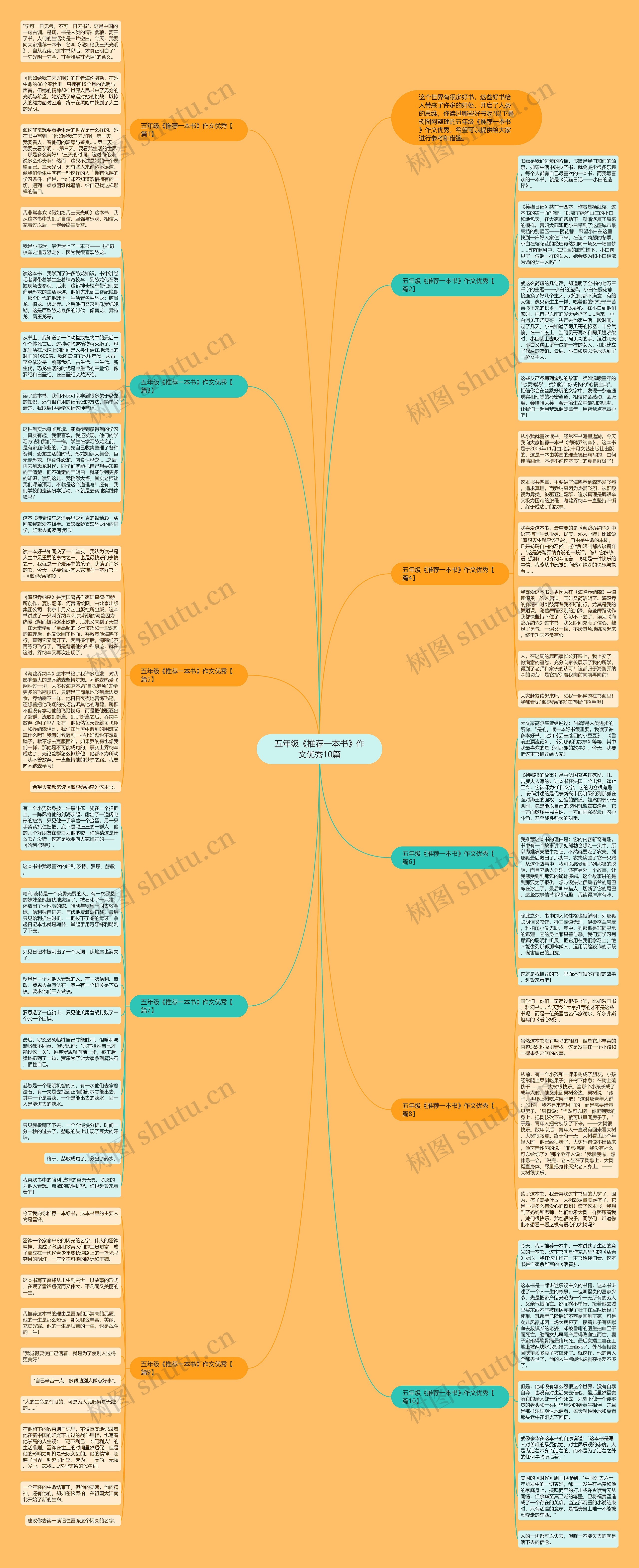 五年级《推荐一本书》作文优秀10篇思维导图