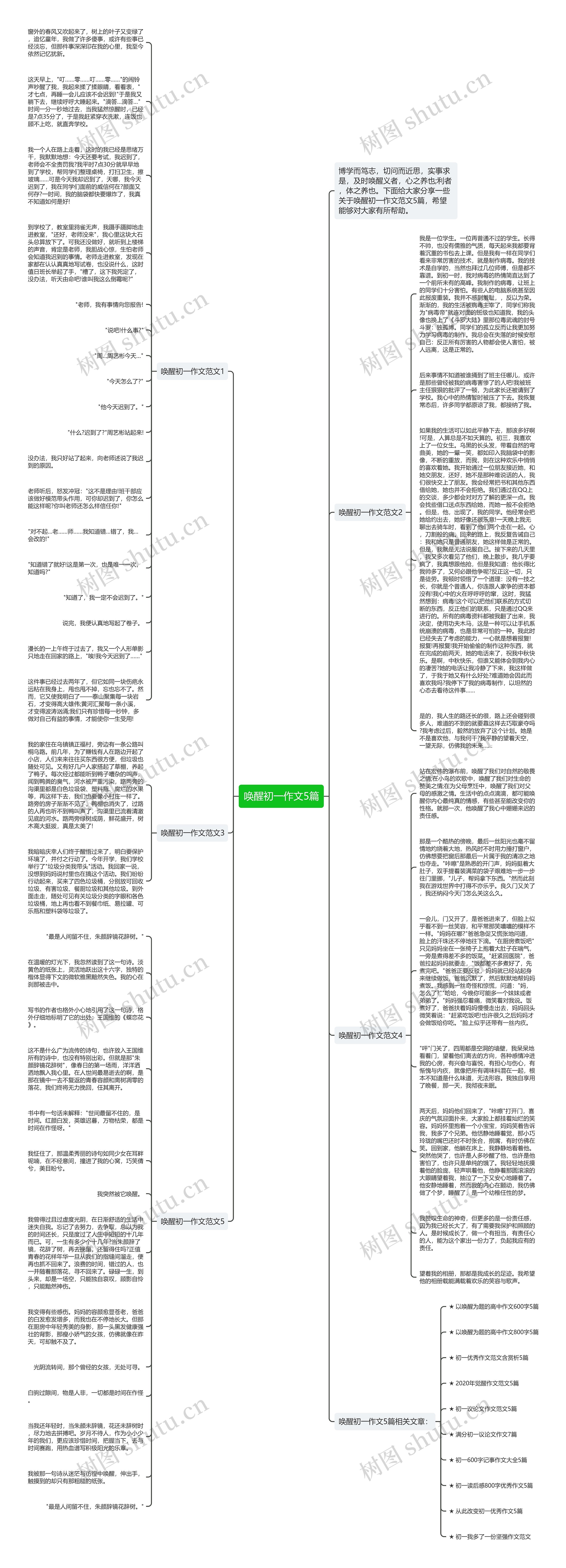 唤醒初一作文5篇思维导图