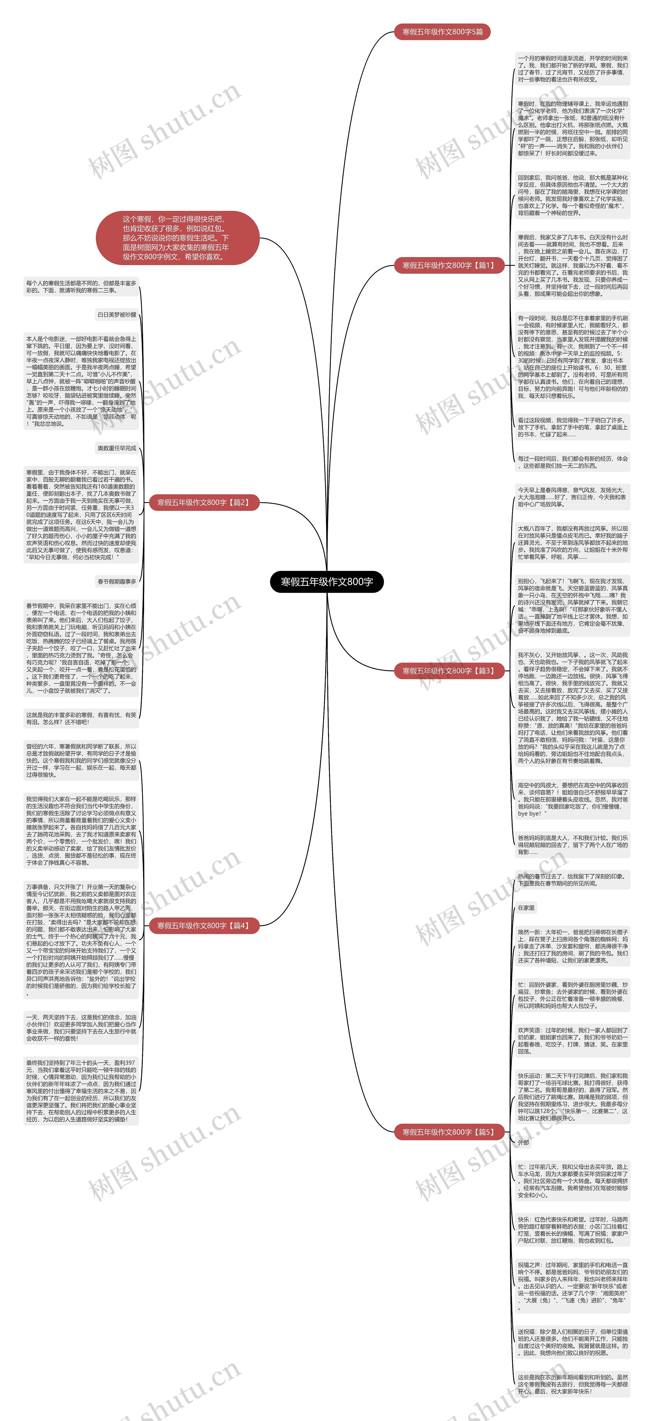 寒假五年级作文800字思维导图