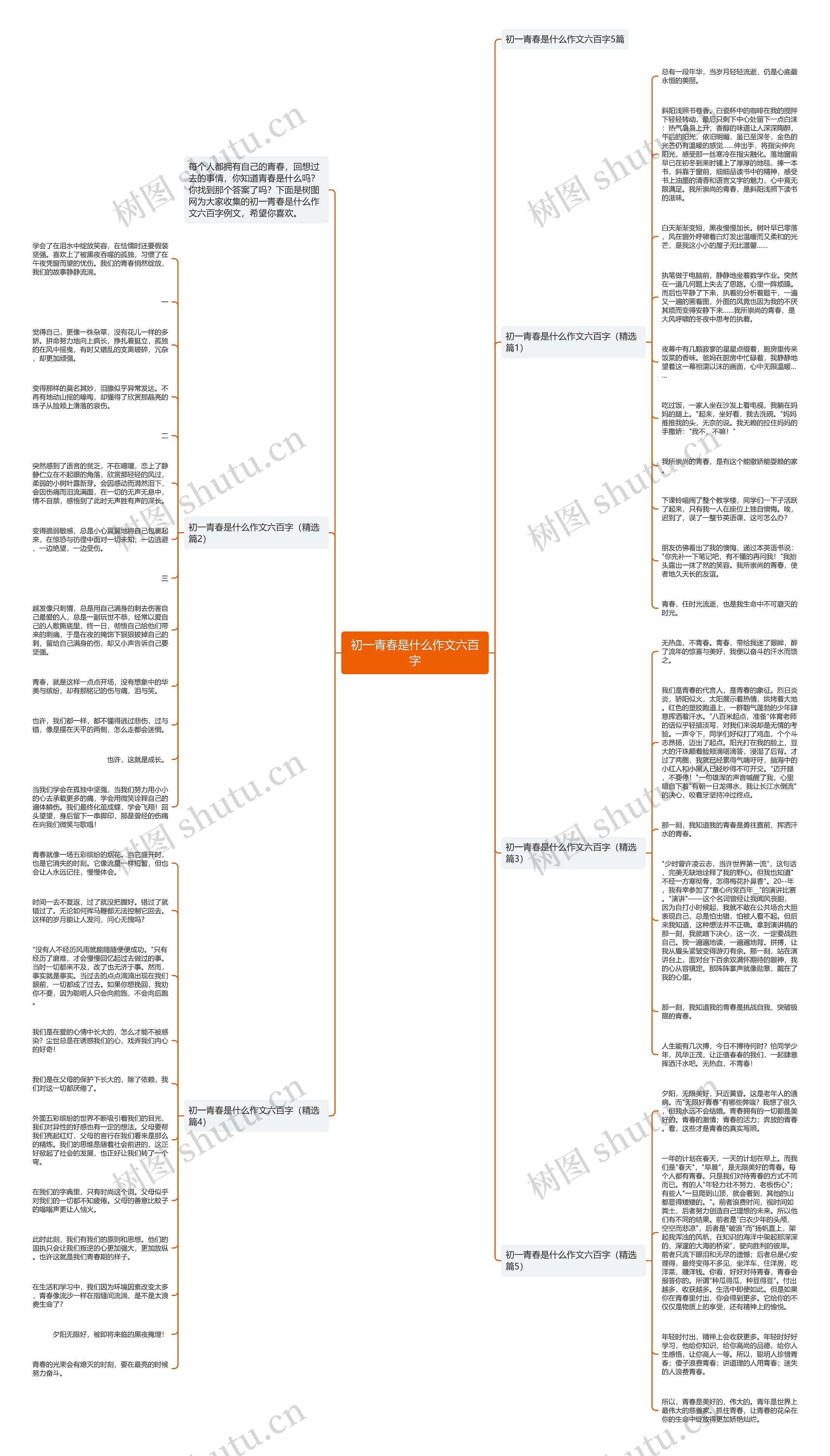 初一青春是什么作文六百字思维导图
