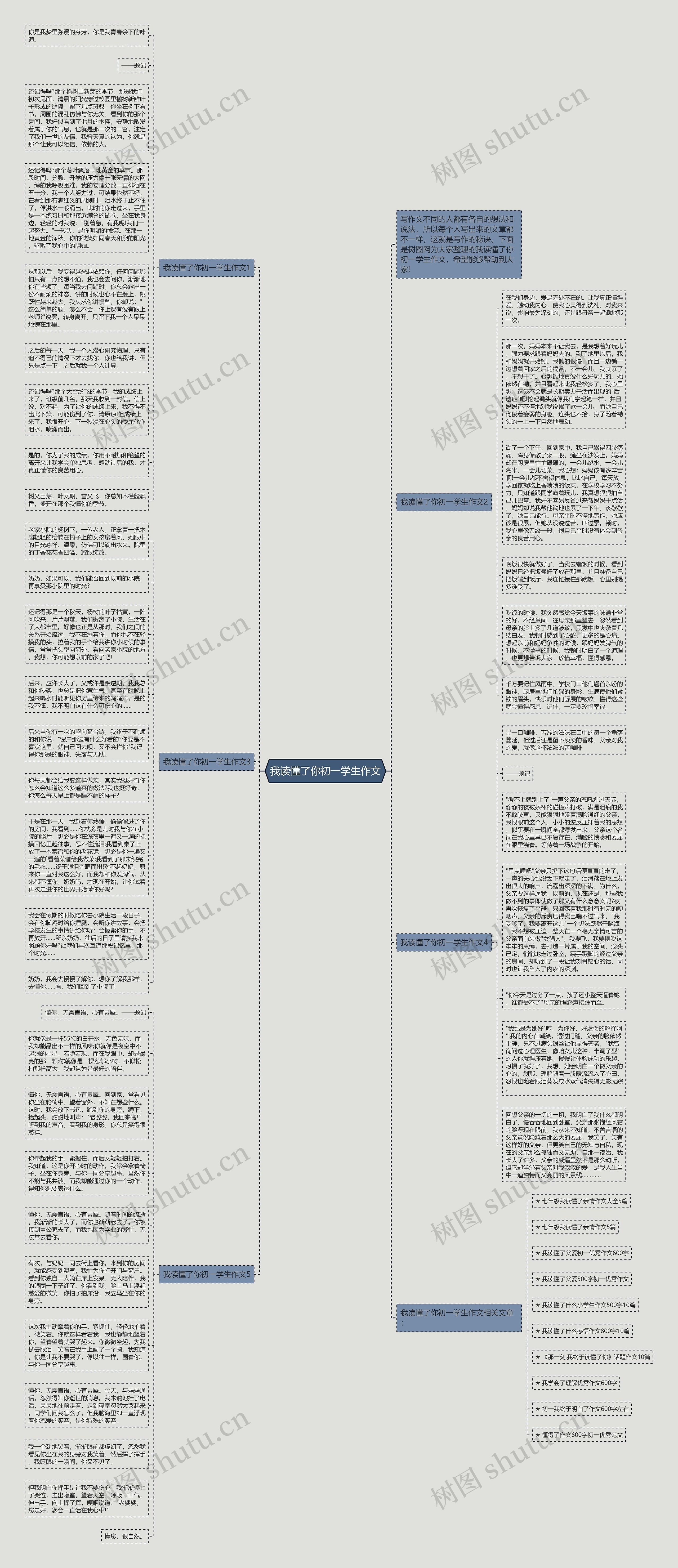 我读懂了你初一学生作文思维导图