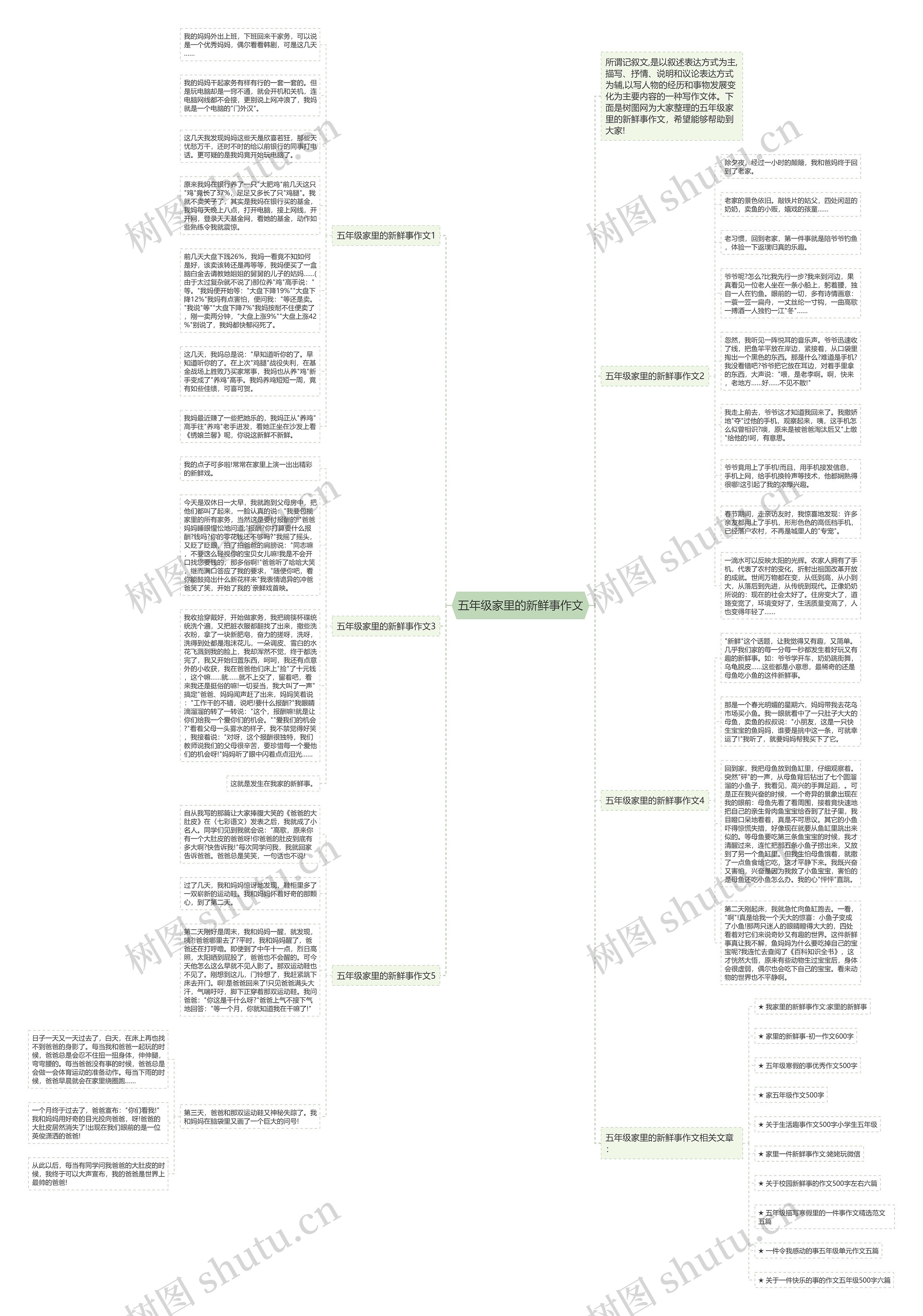 五年级家里的新鲜事作文思维导图