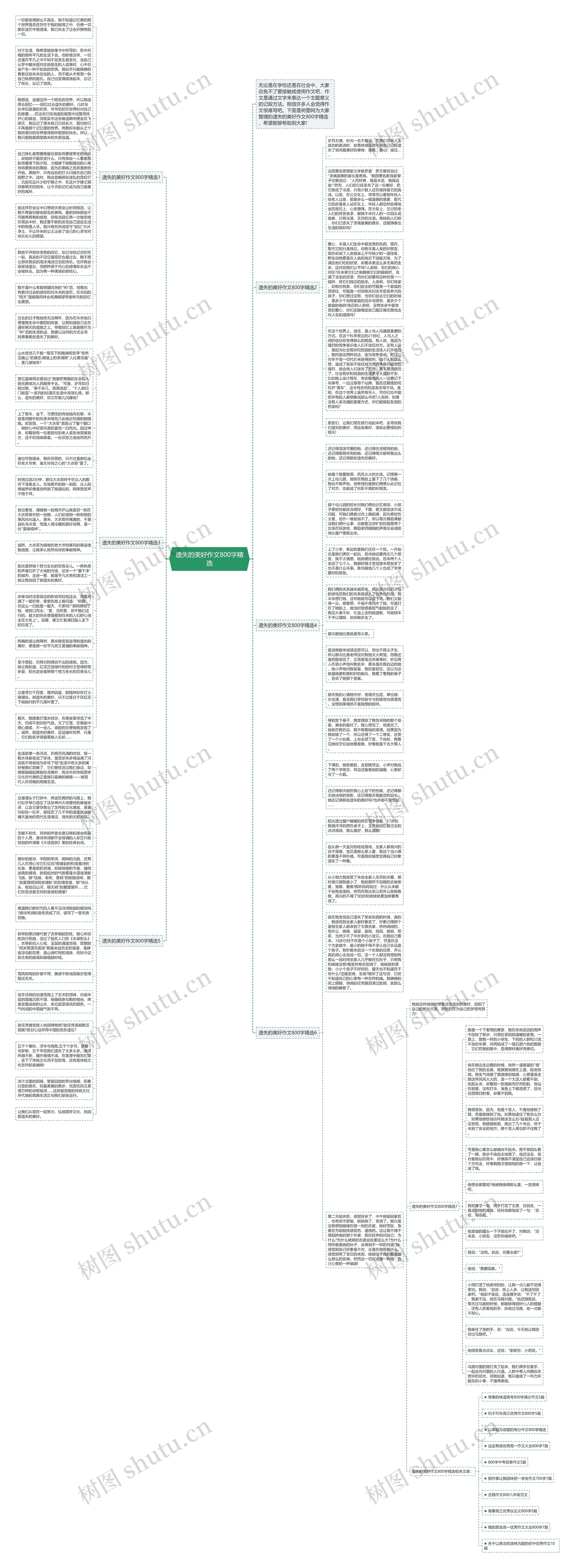 遗失的美好作文800字精选思维导图