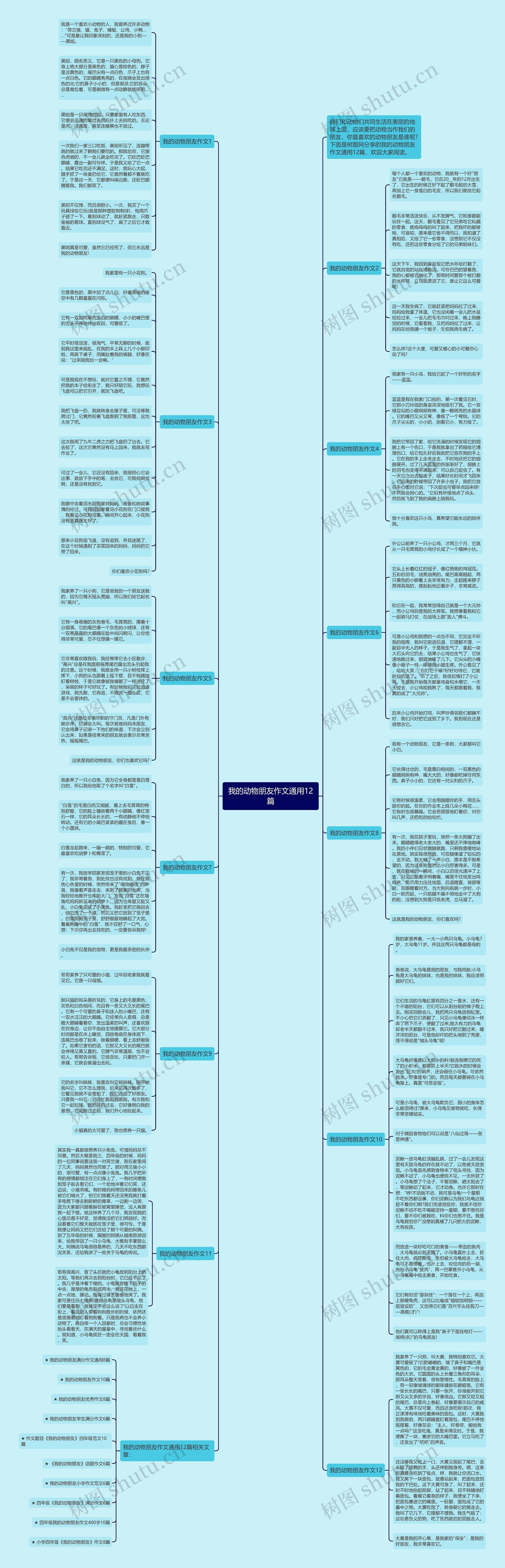 我的动物朋友作文通用12篇思维导图