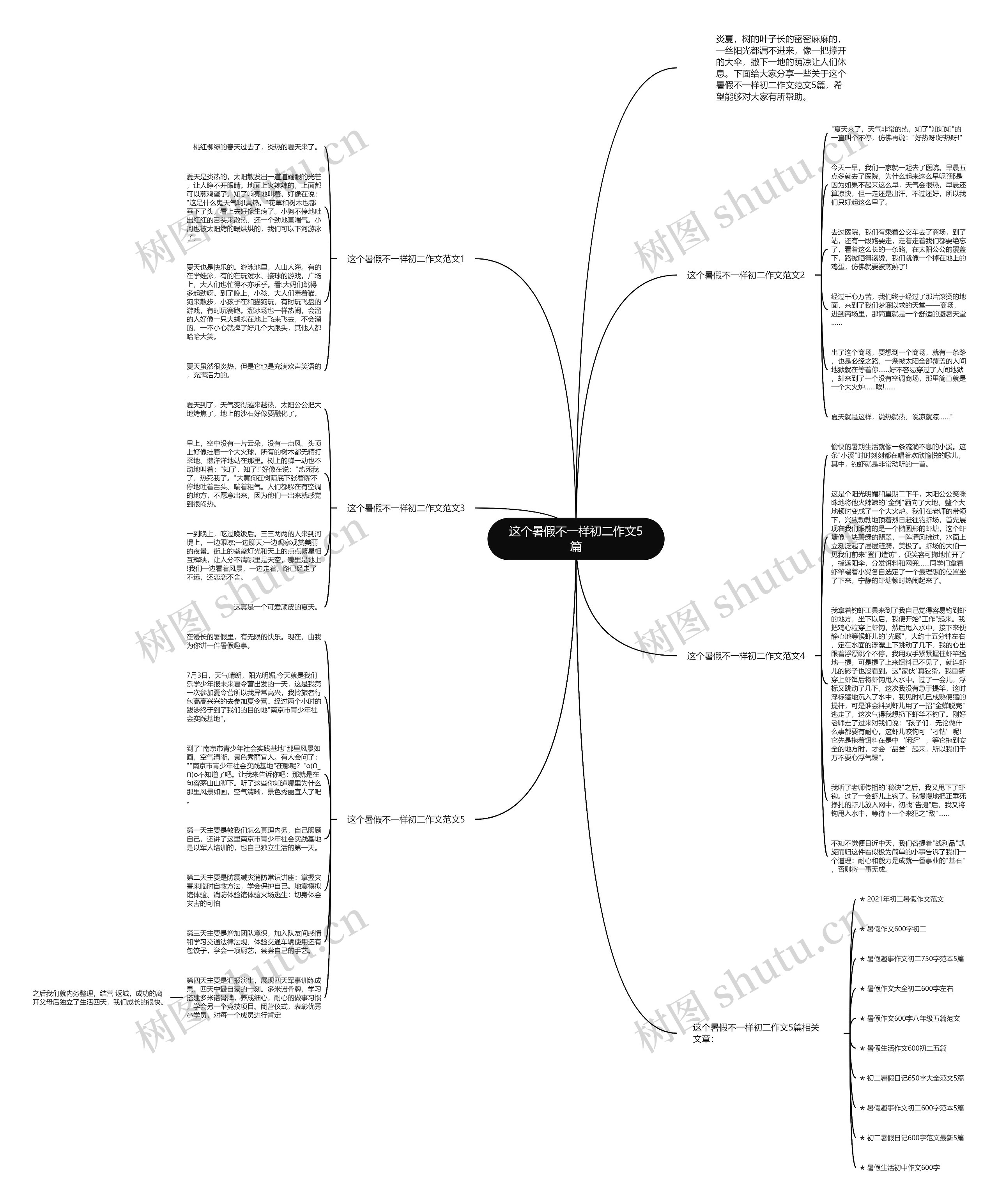 这个暑假不一样初二作文5篇思维导图