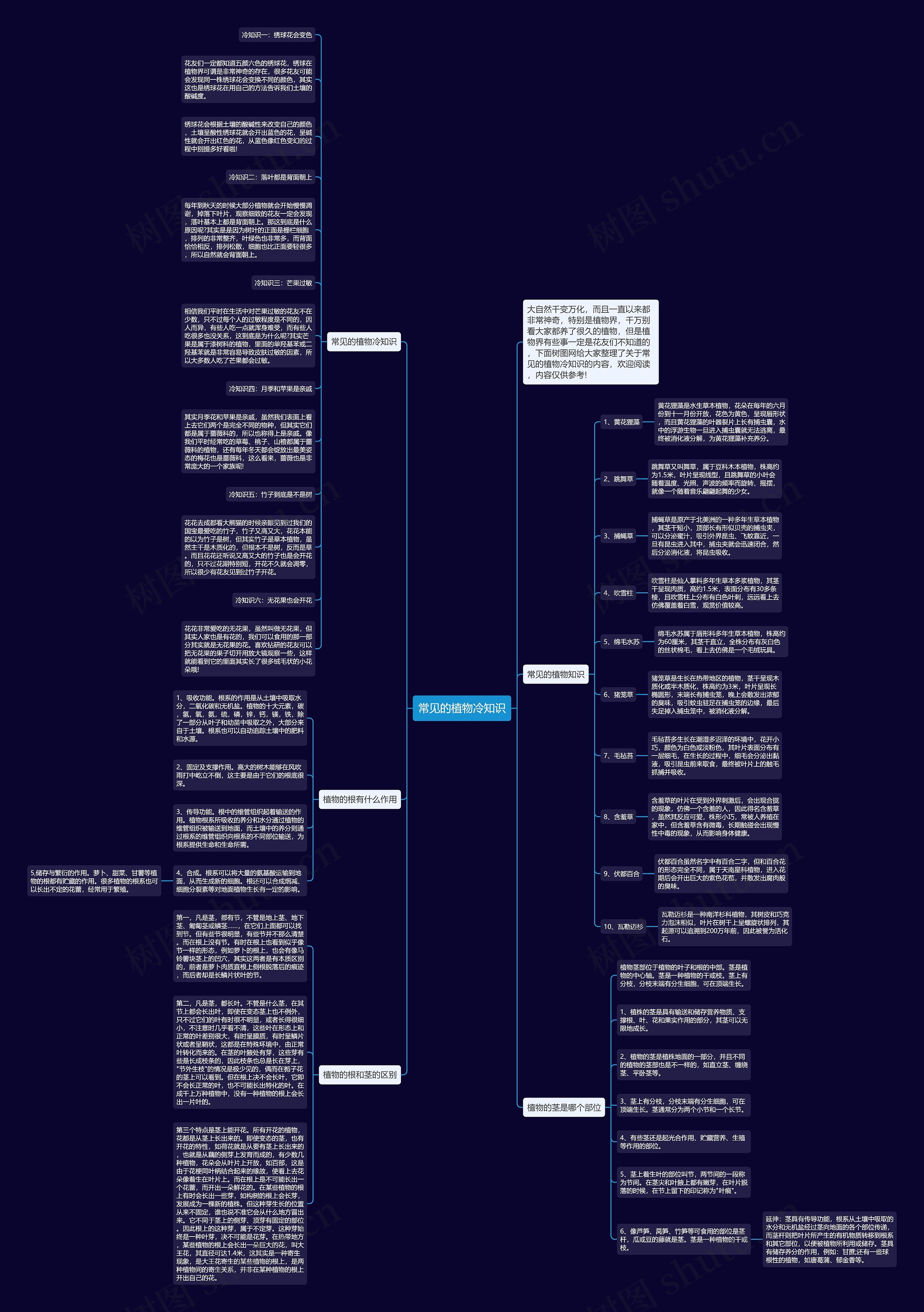 常见的植物冷知识思维导图