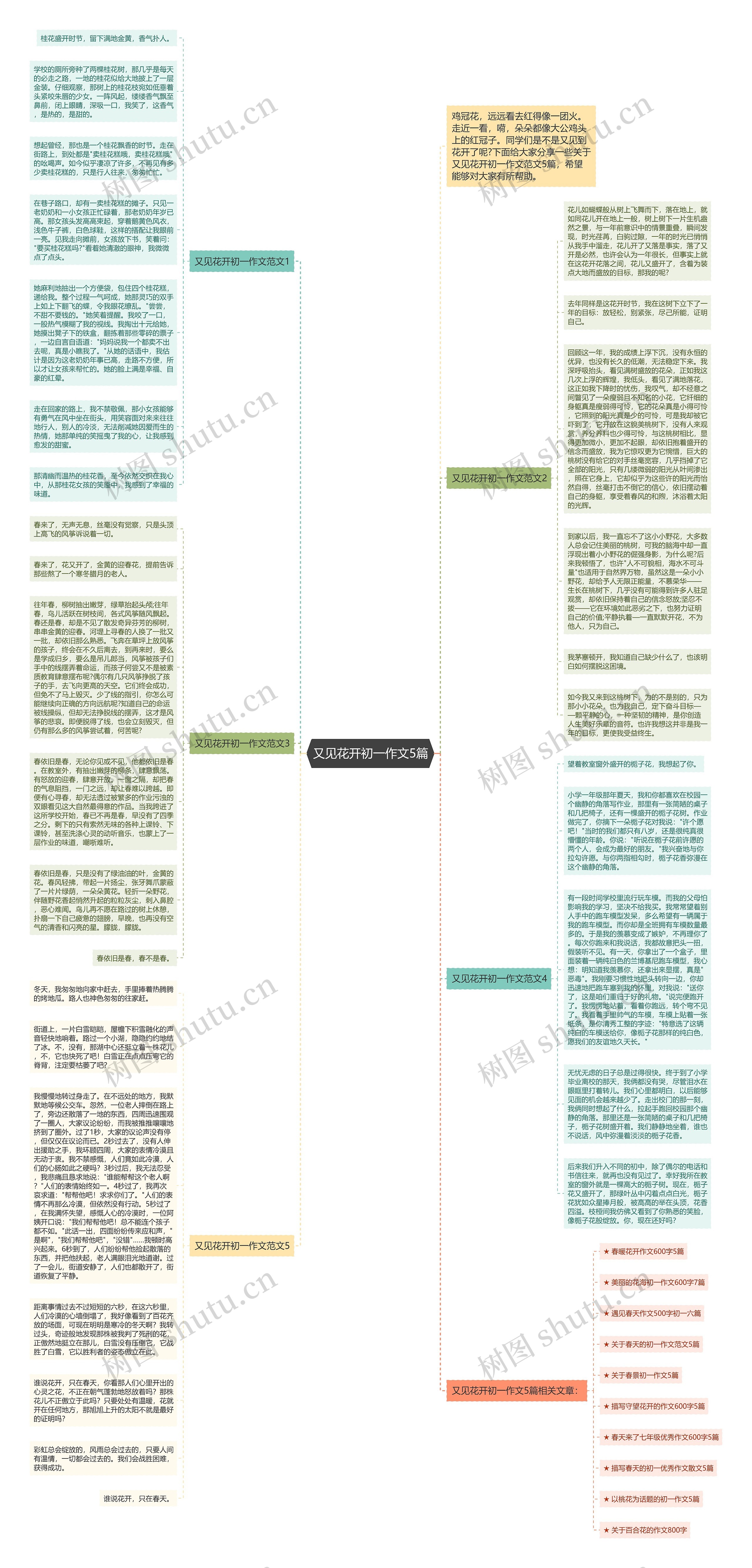 又见花开初一作文5篇思维导图