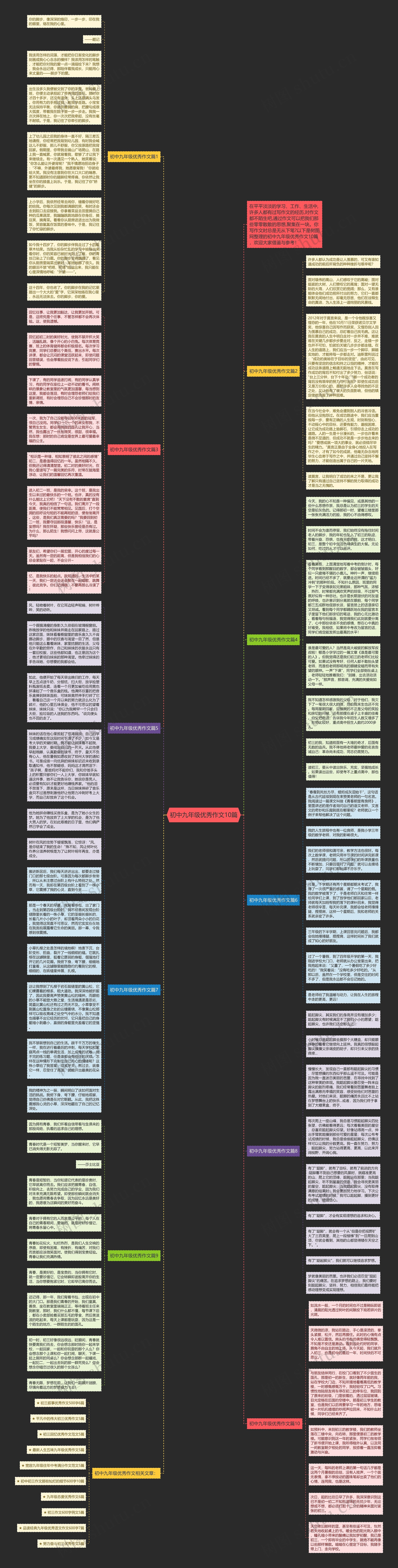 初中九年级优秀作文10篇思维导图