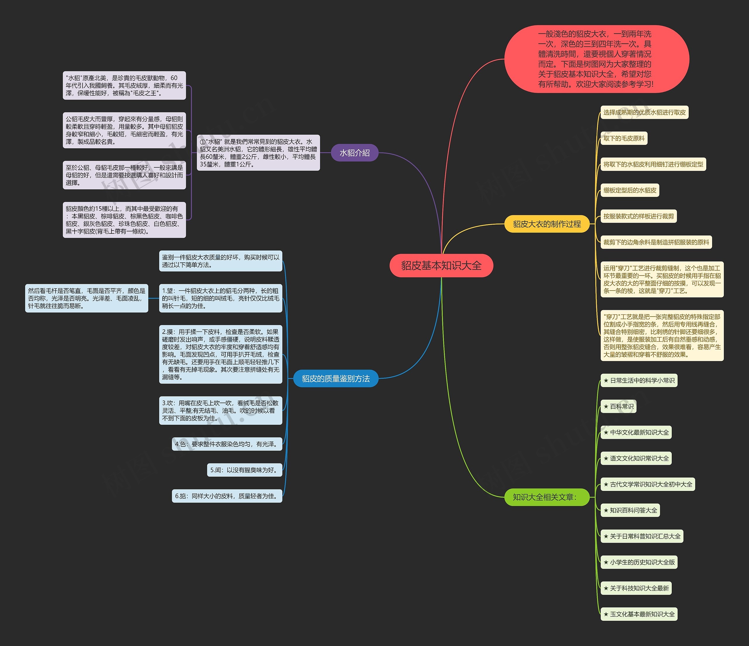 貂皮基本知识大全思维导图