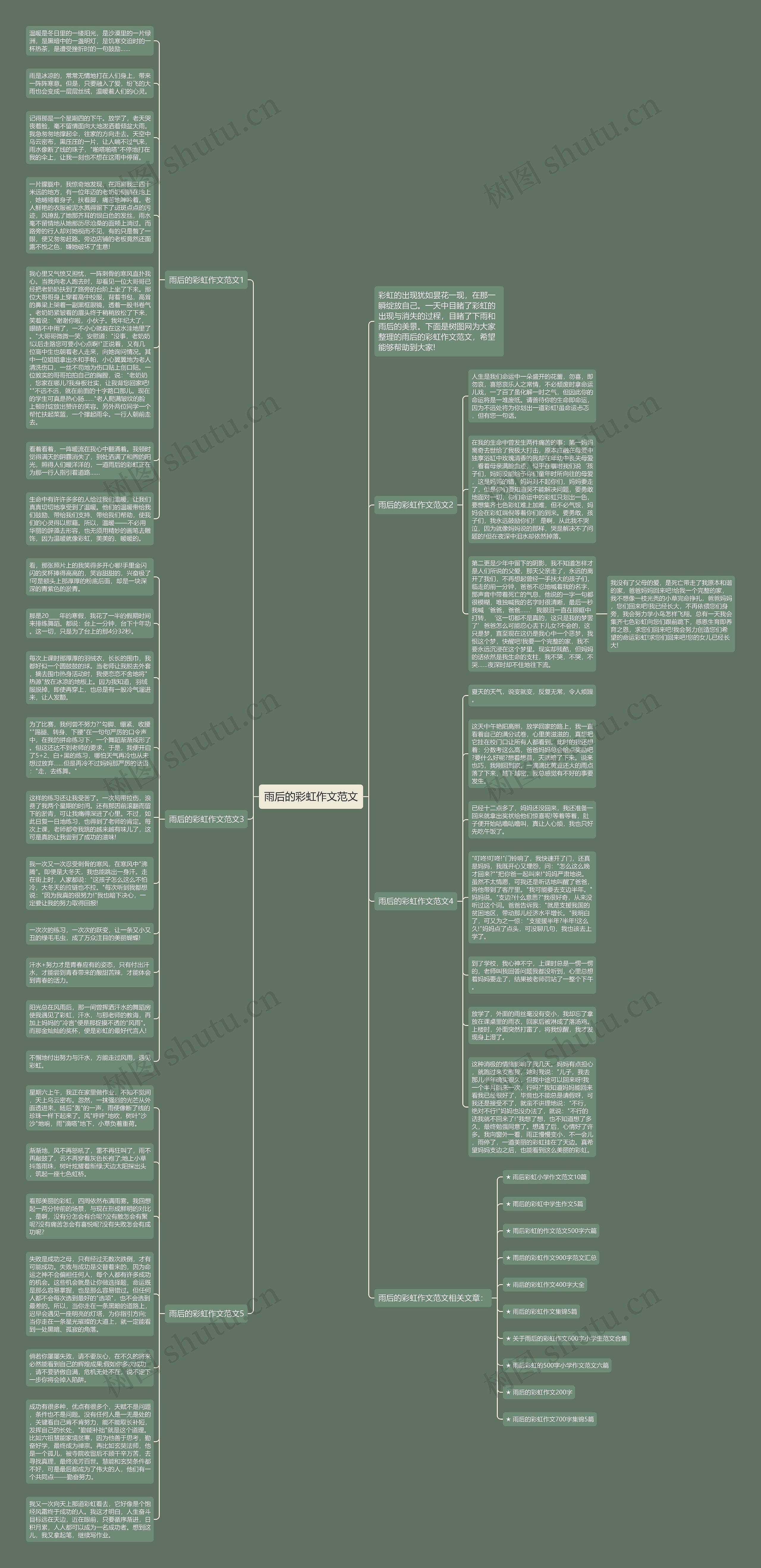 雨后的彩虹作文范文思维导图