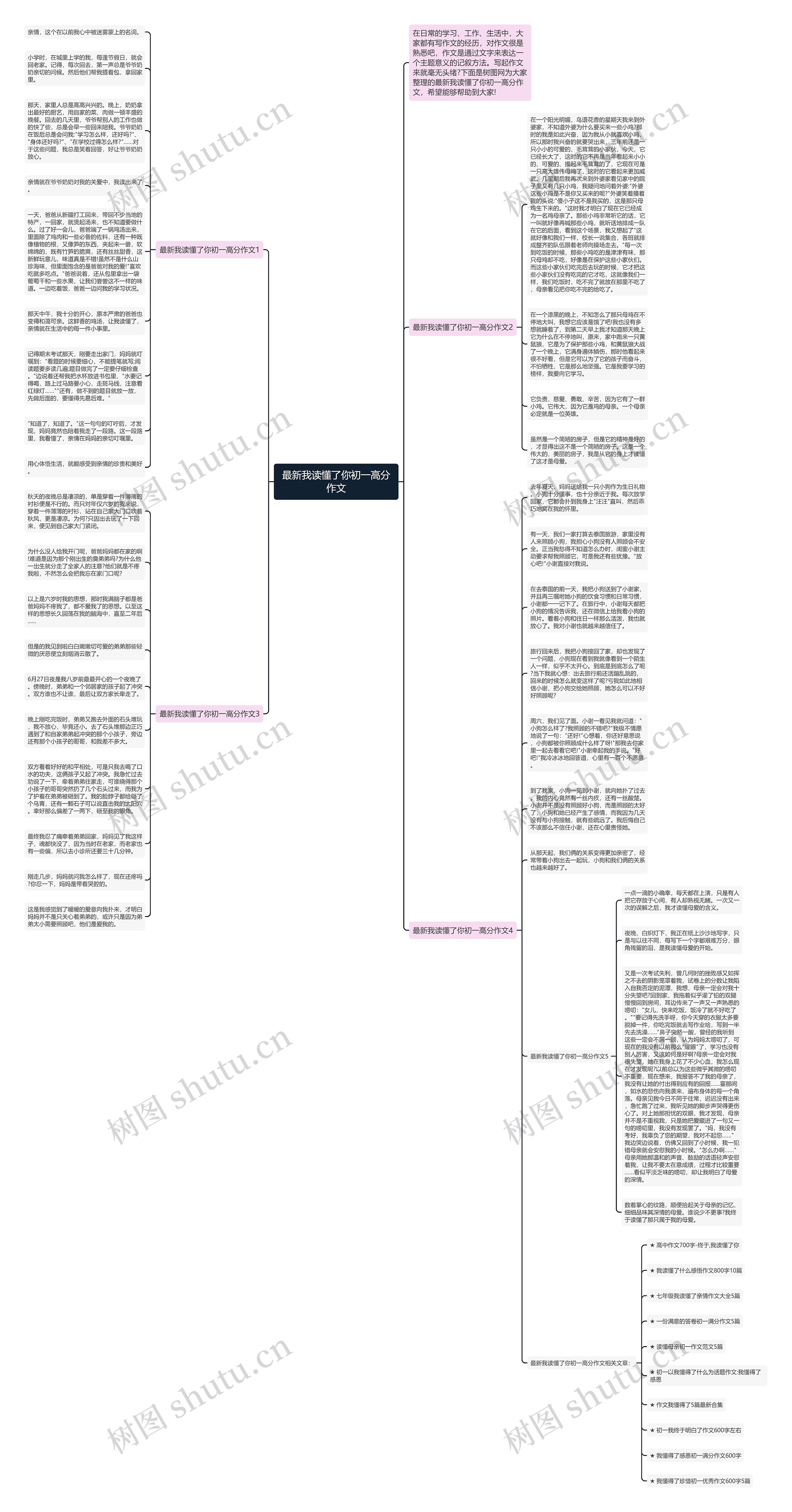 最新我读懂了你初一高分作文思维导图