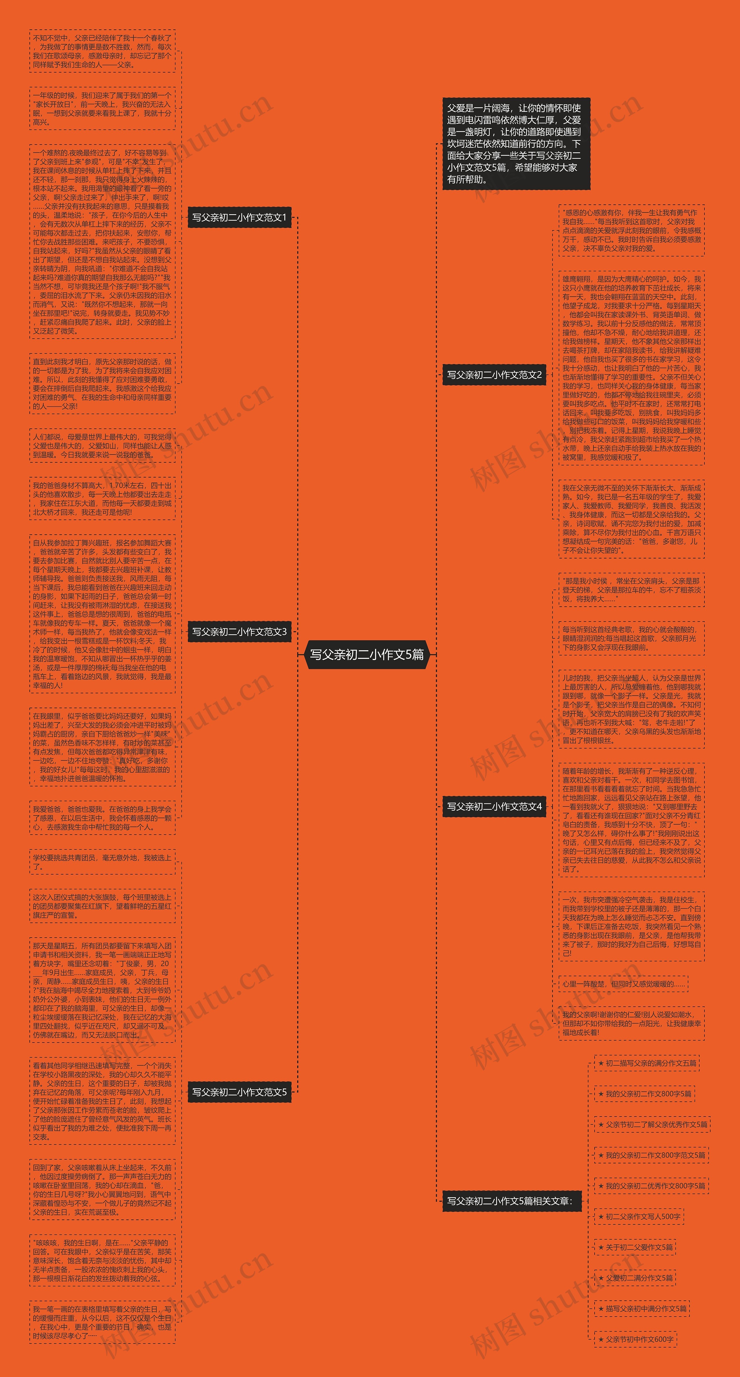 写父亲初二小作文5篇思维导图