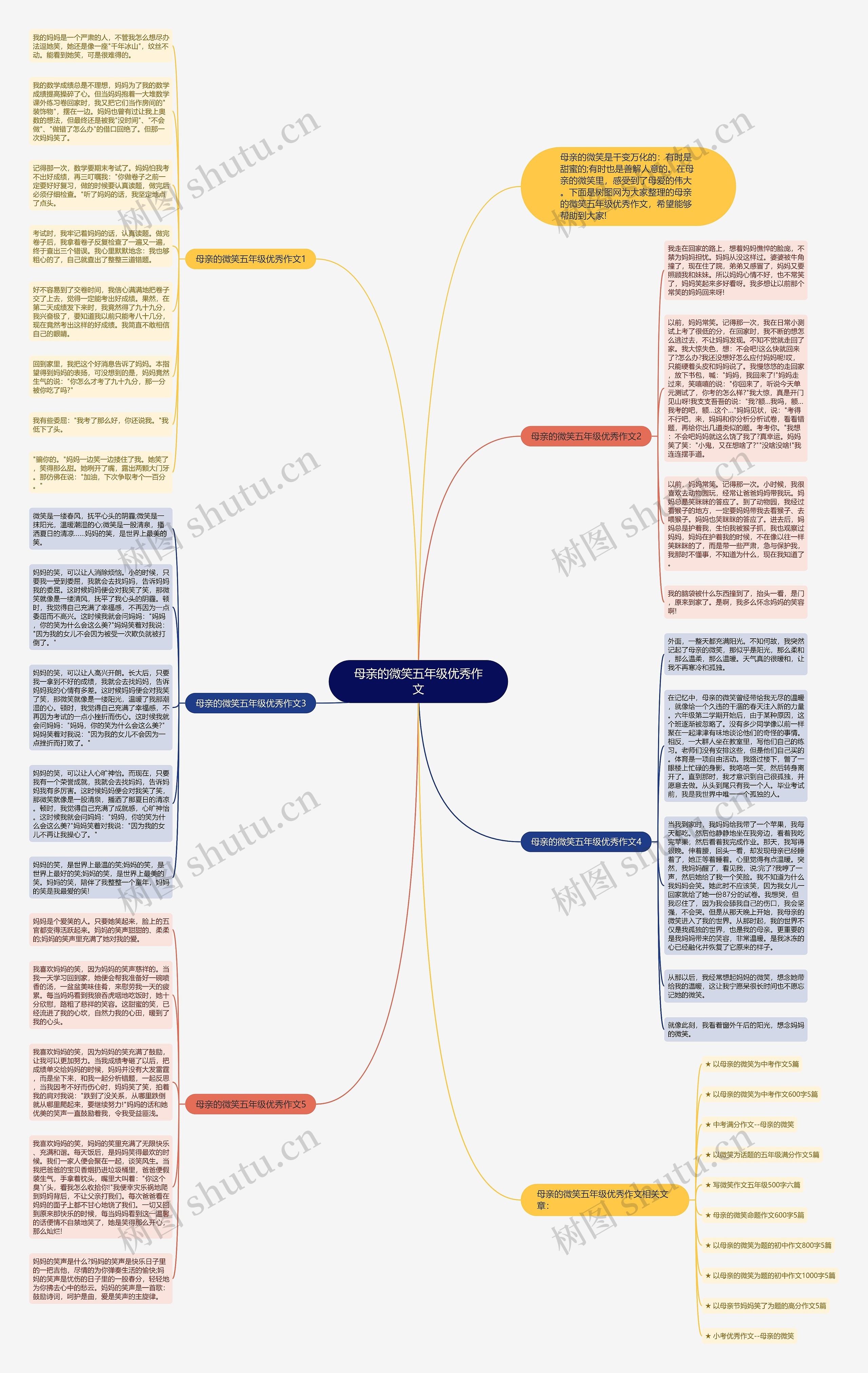 母亲的微笑五年级优秀作文思维导图
