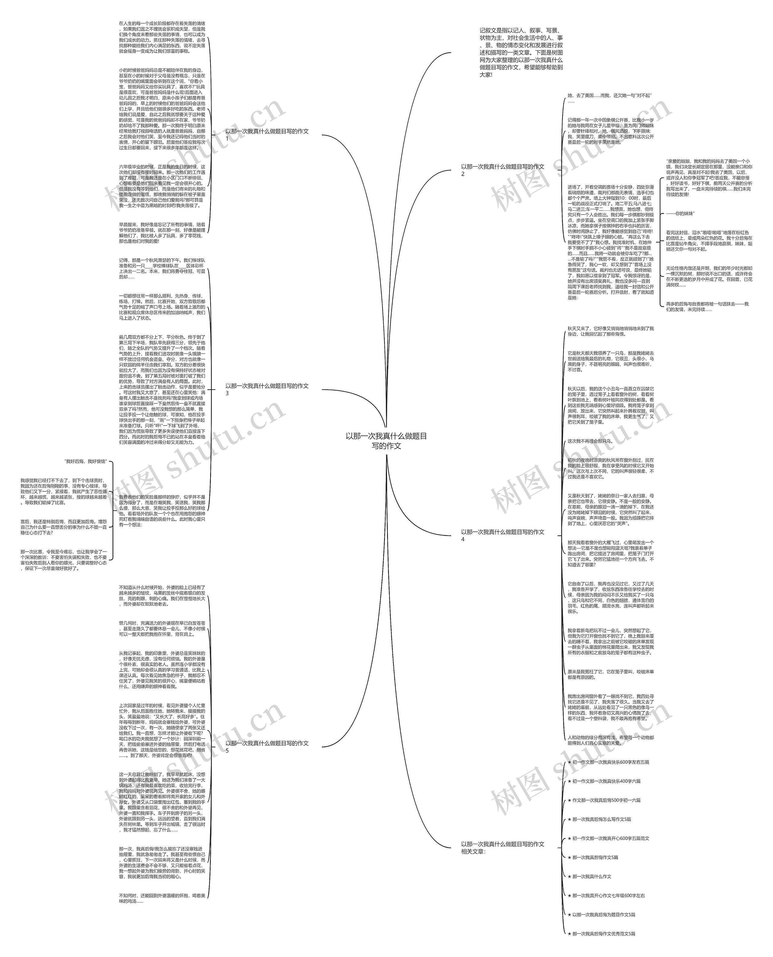 以那一次我真什么做题目写的作文思维导图