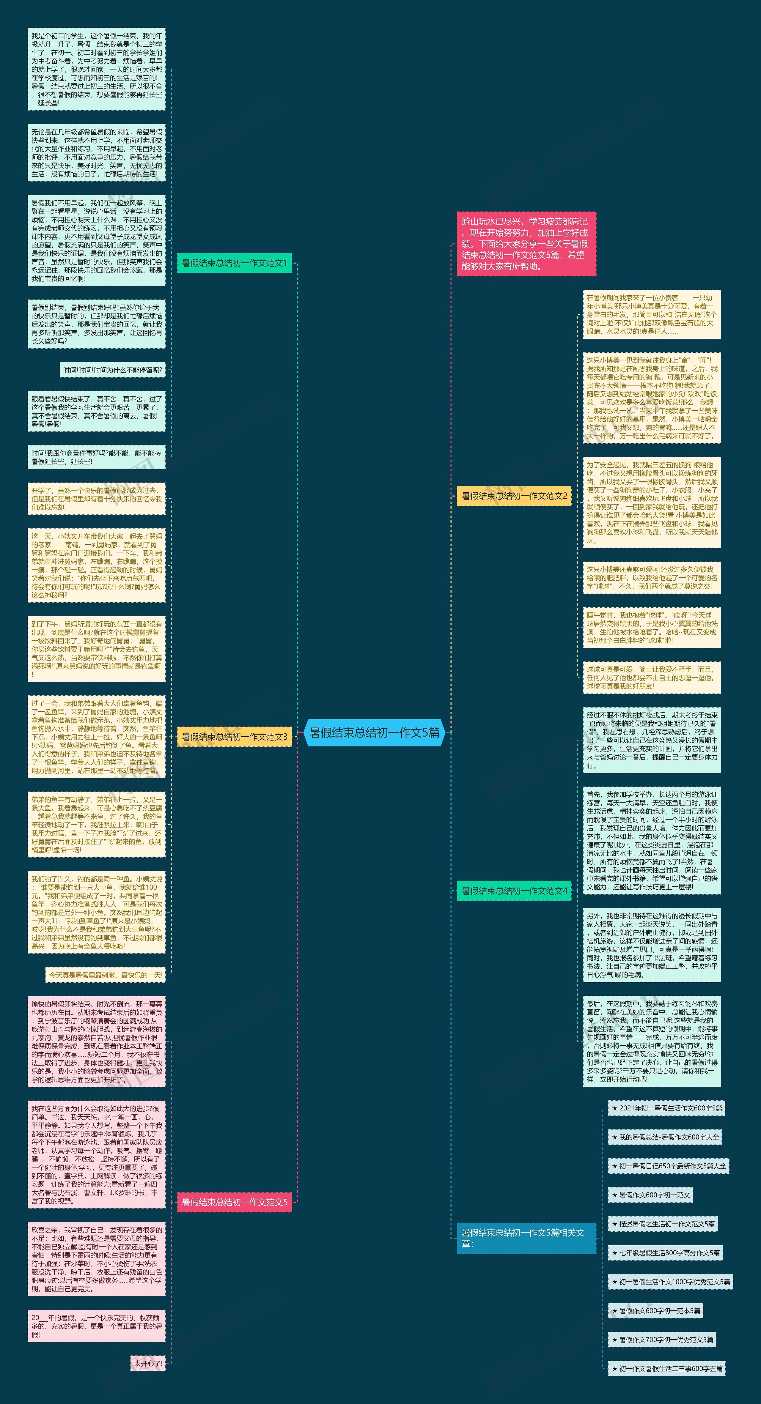 暑假结束总结初一作文5篇思维导图