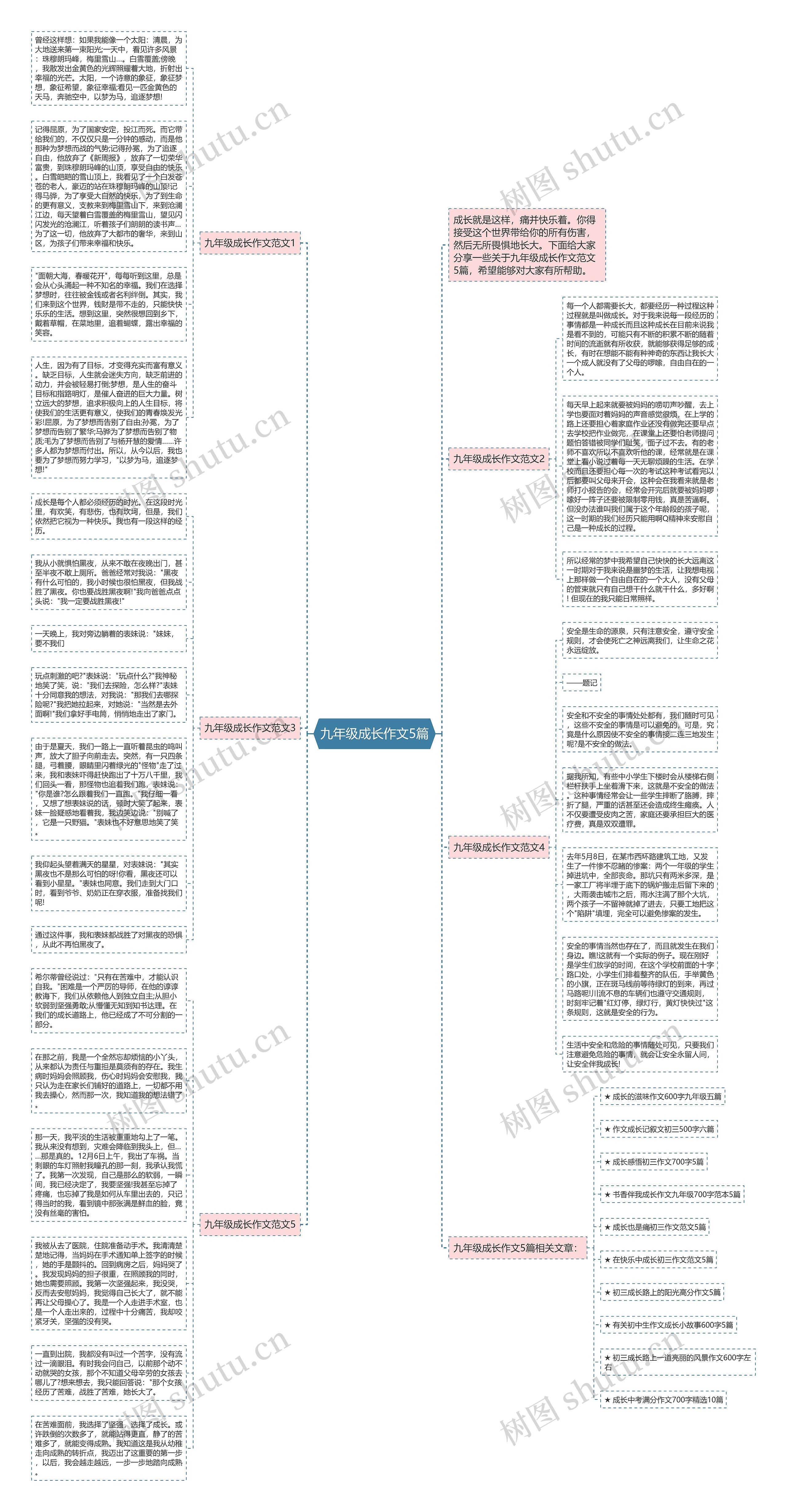 九年级成长作文5篇思维导图