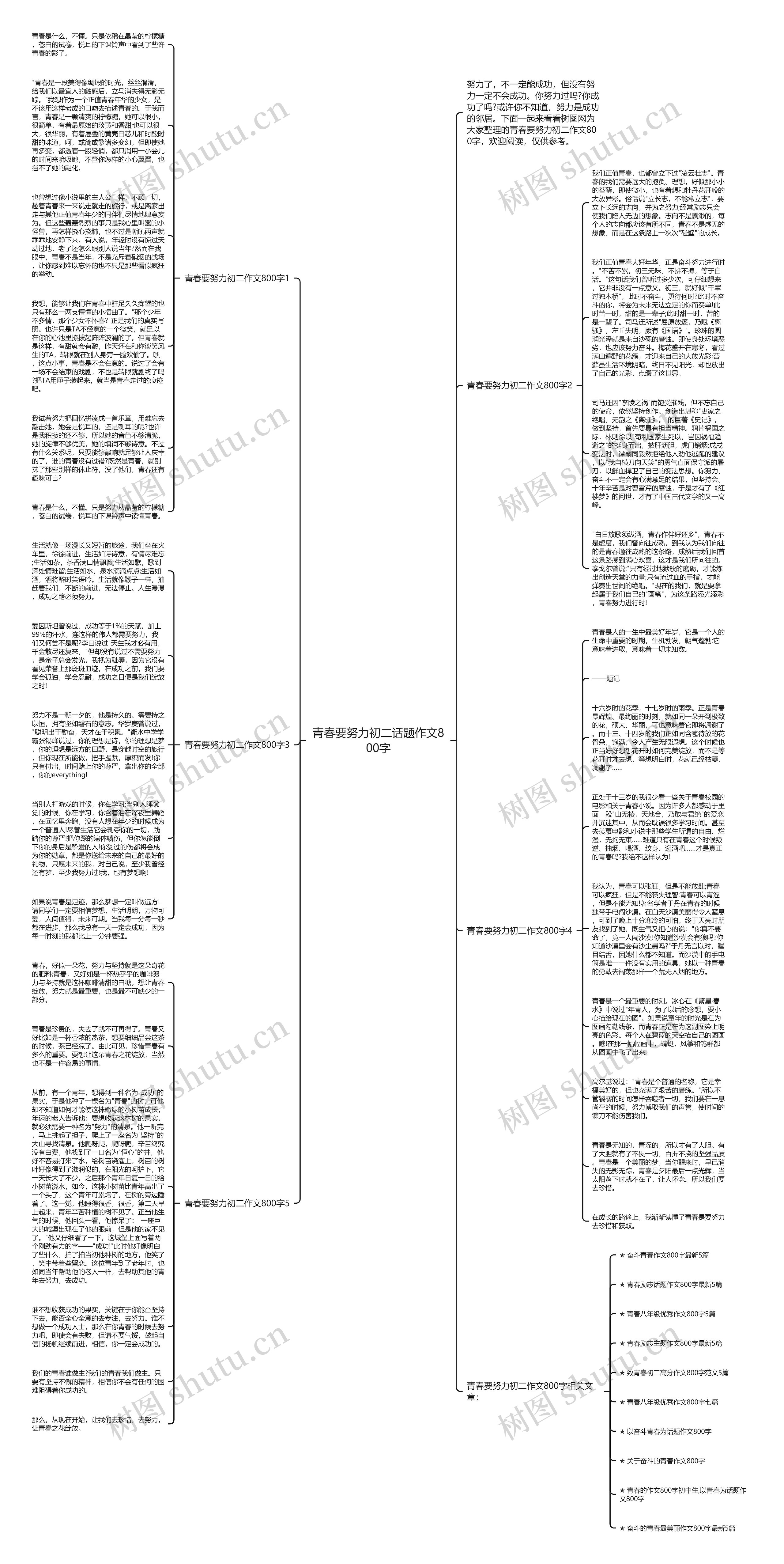 青春要努力初二话题作文800字思维导图