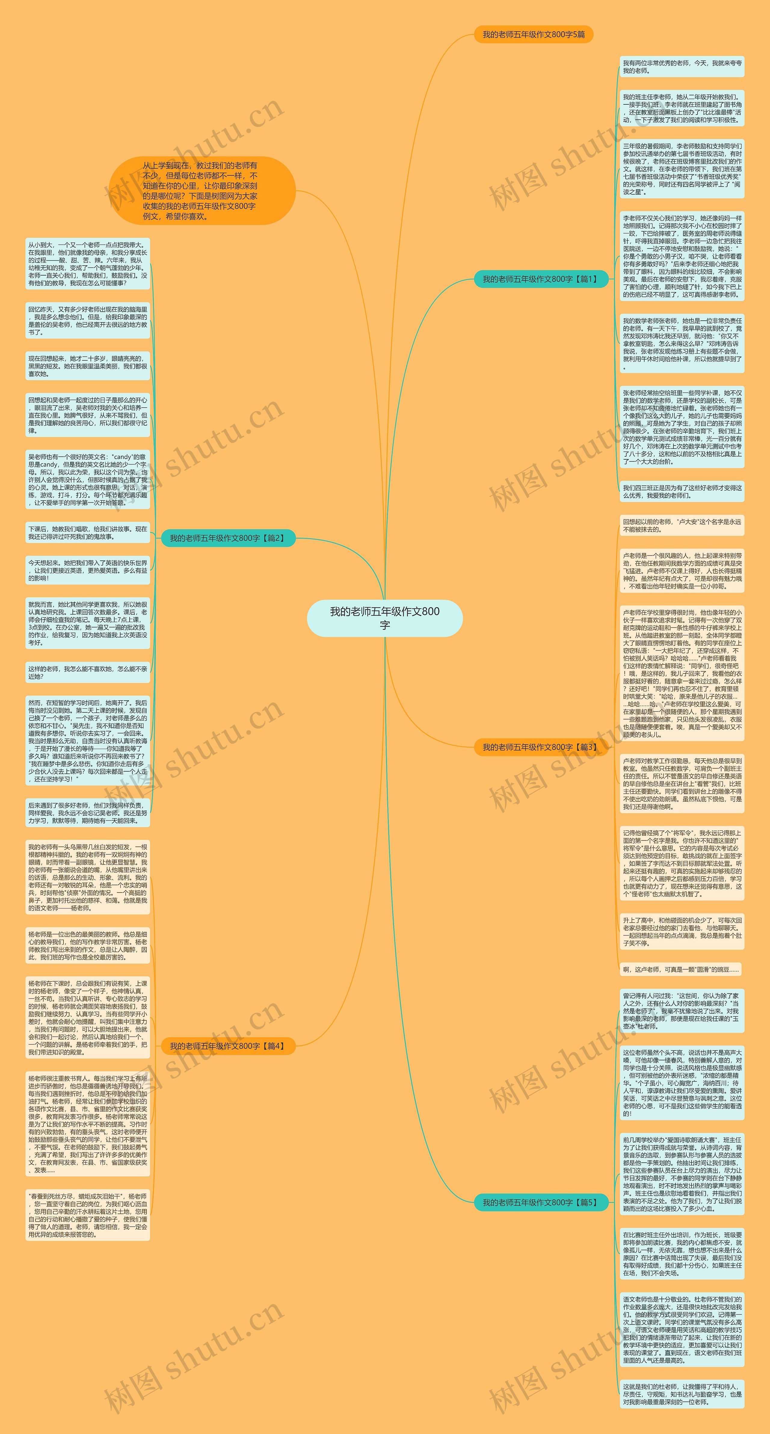 我的老师五年级作文800字思维导图