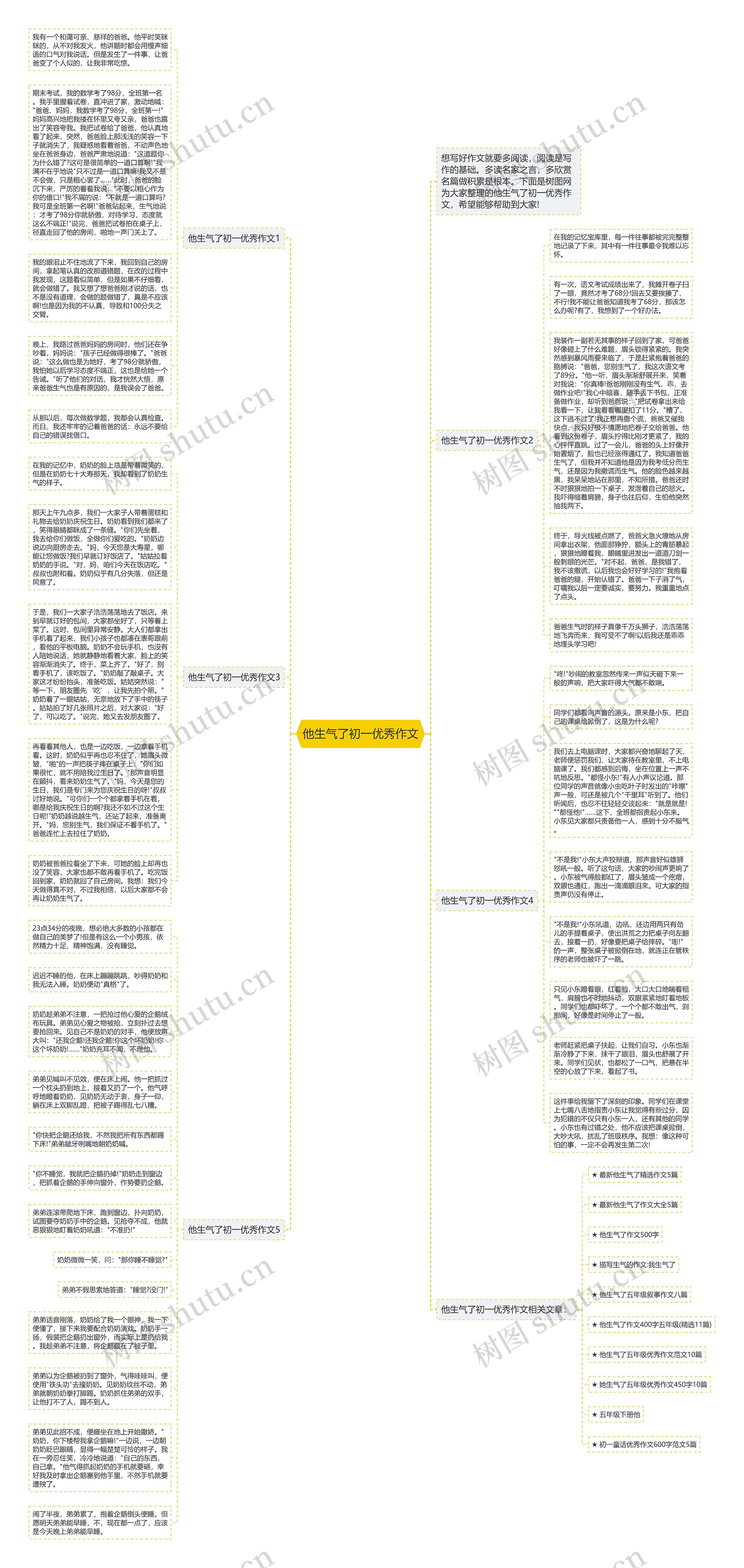 他生气了初一优秀作文思维导图