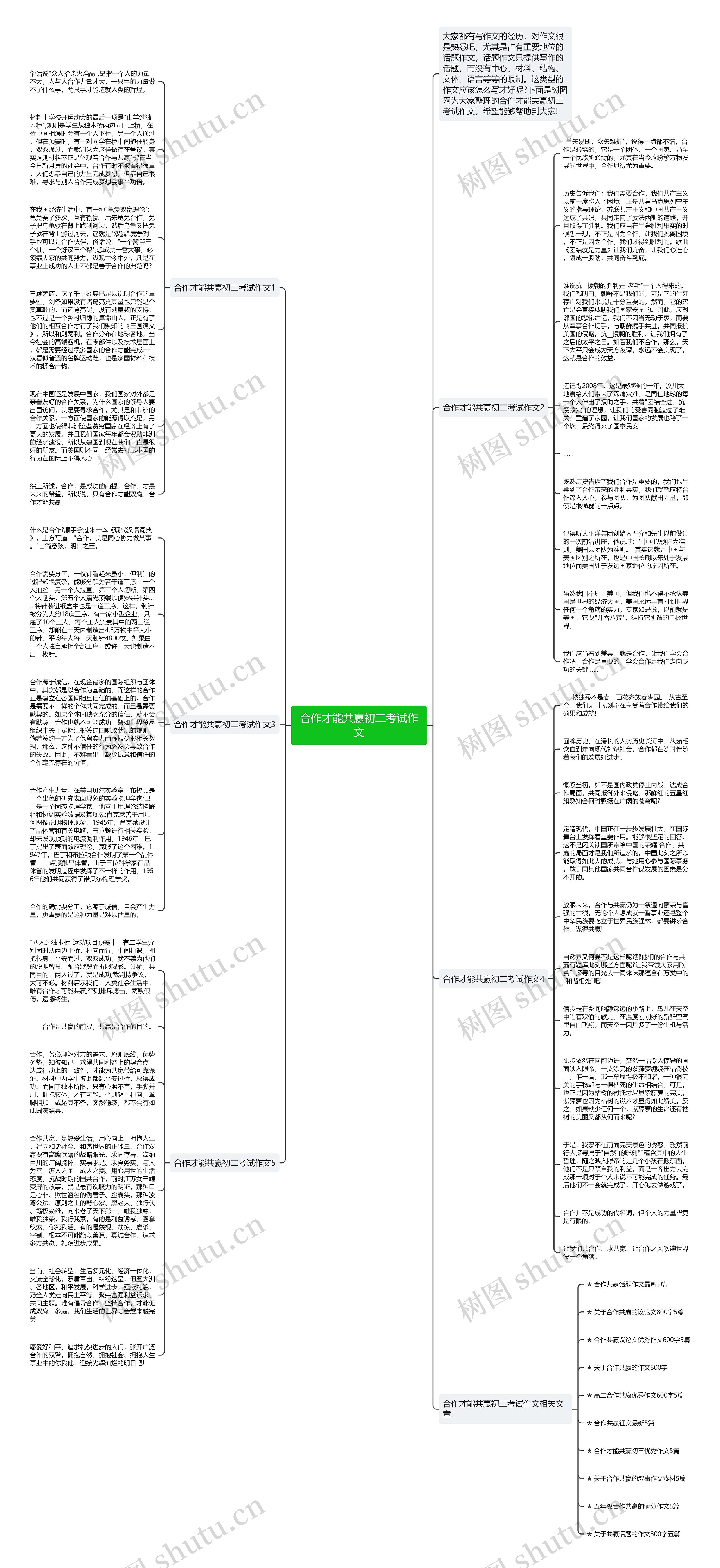 合作才能共赢初二考试作文思维导图