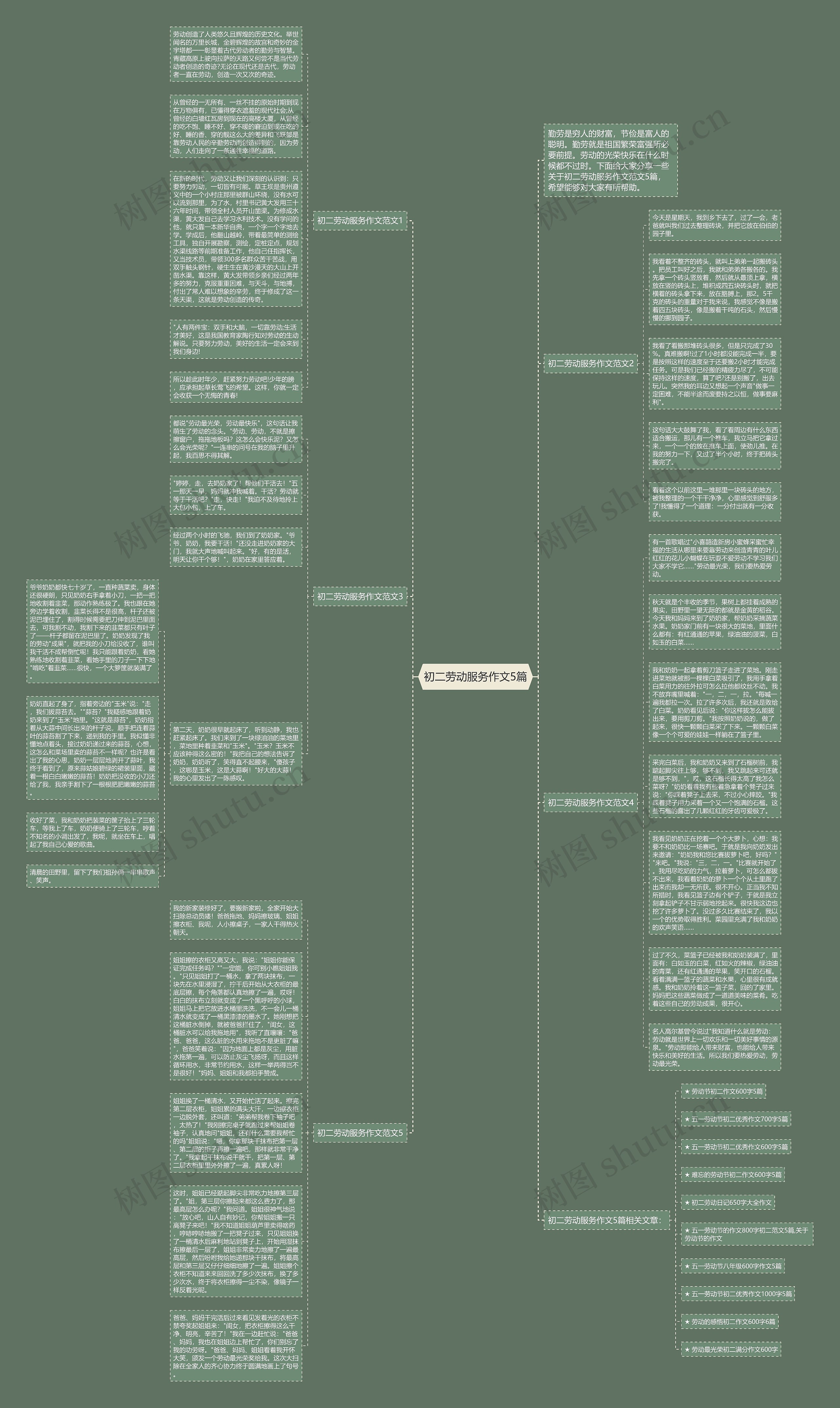初二劳动服务作文5篇思维导图