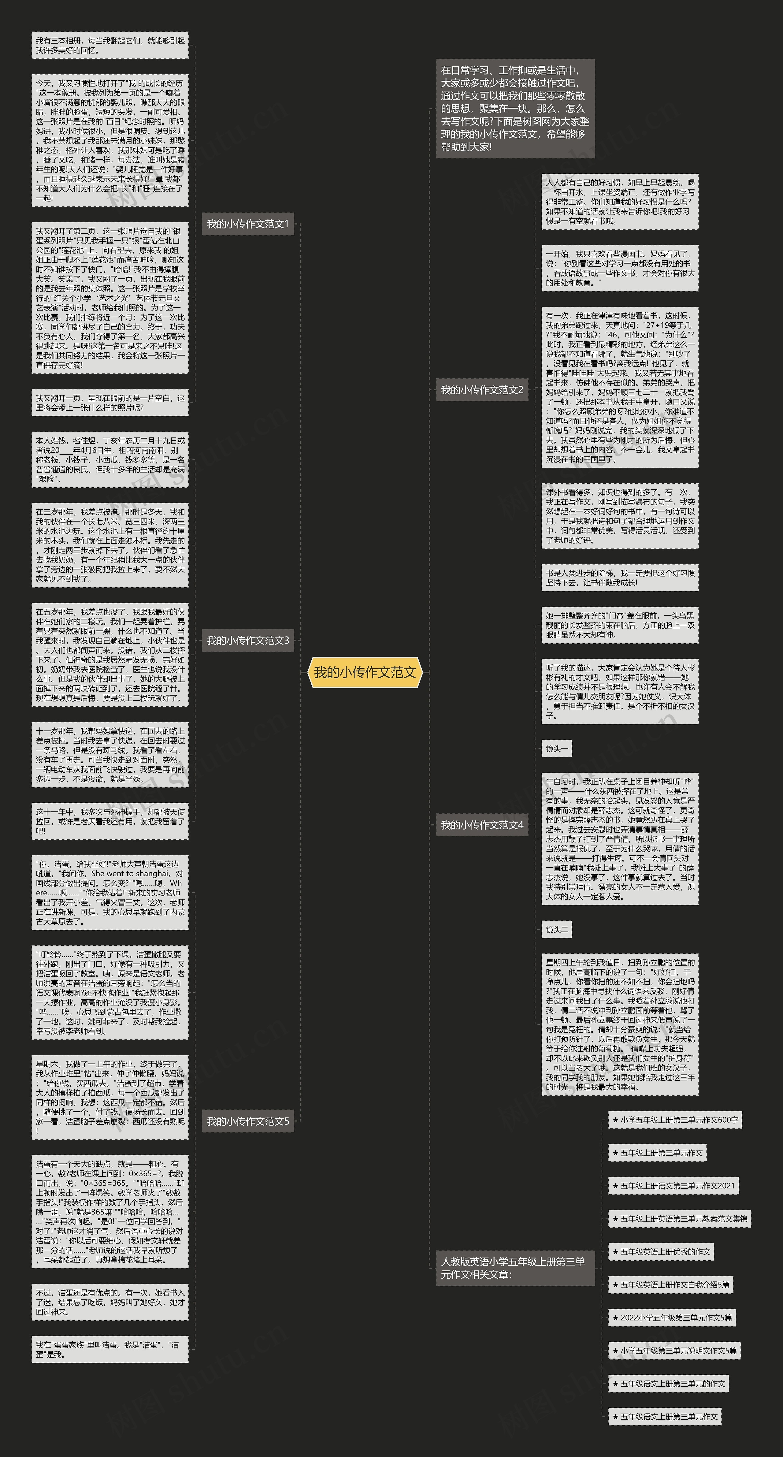 我的小传作文范文思维导图