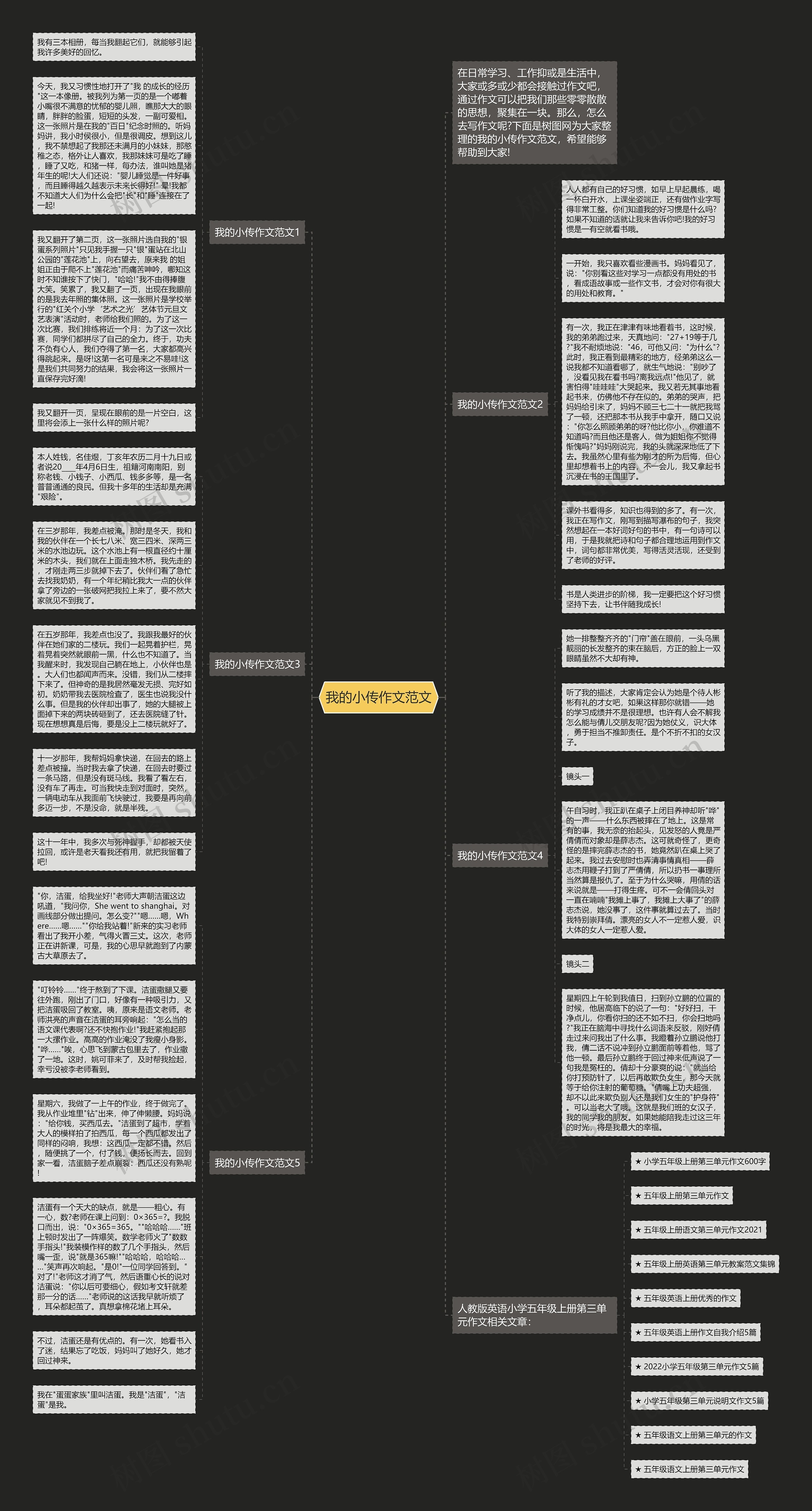 我的小传作文范文思维导图高清图 我的小传作文范文思维导图