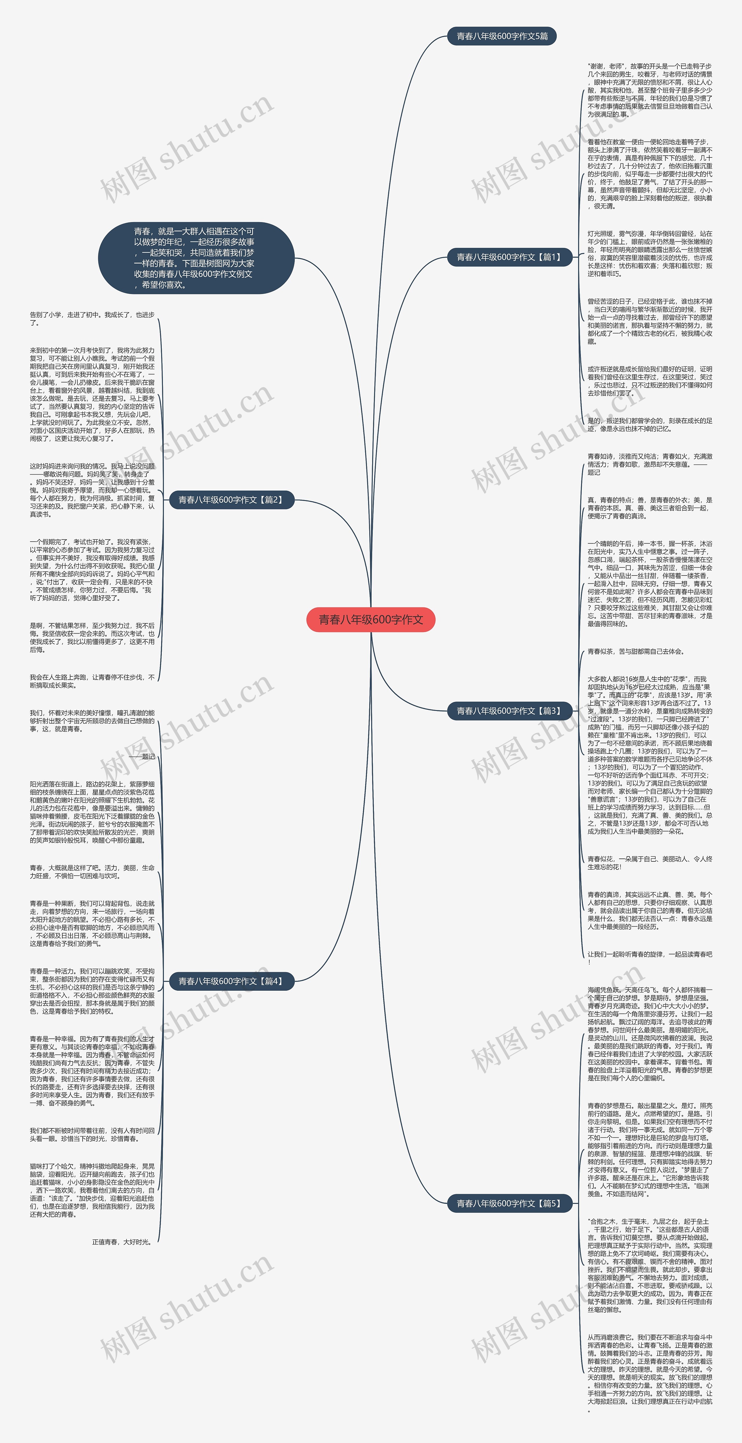 青春八年级600字作文思维导图