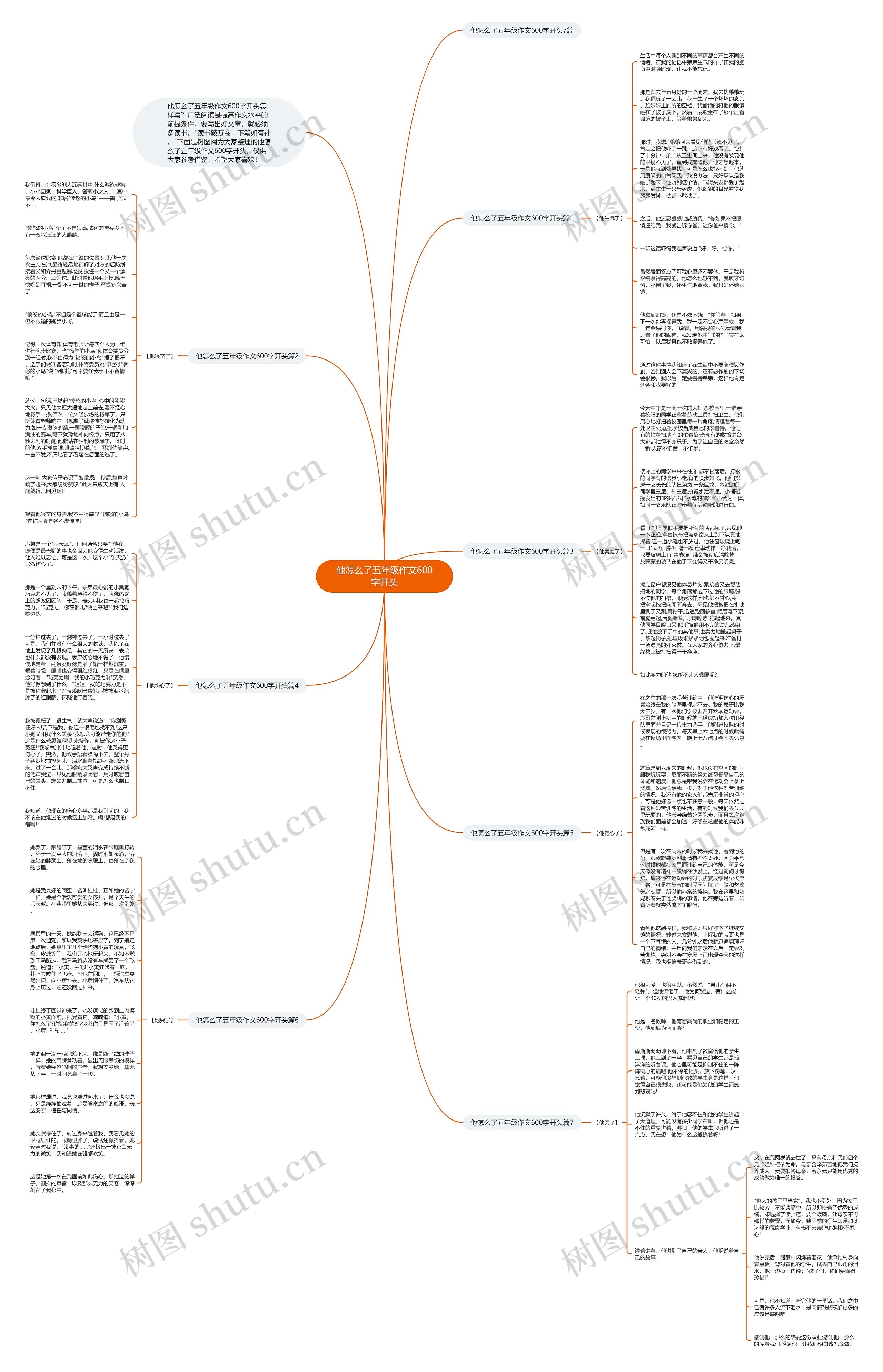 他怎么了五年级作文600字开头