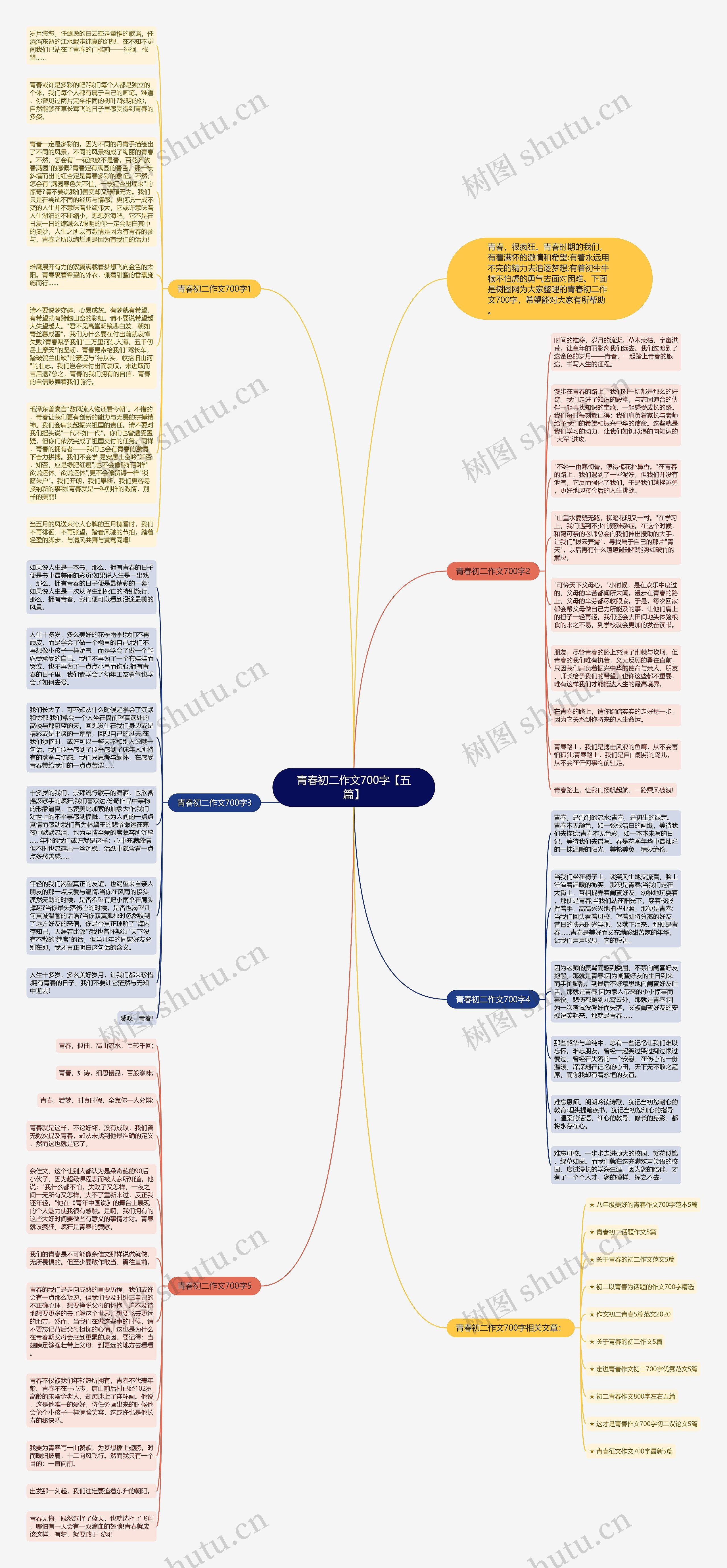 青春初二作文700字【五篇】思维导图