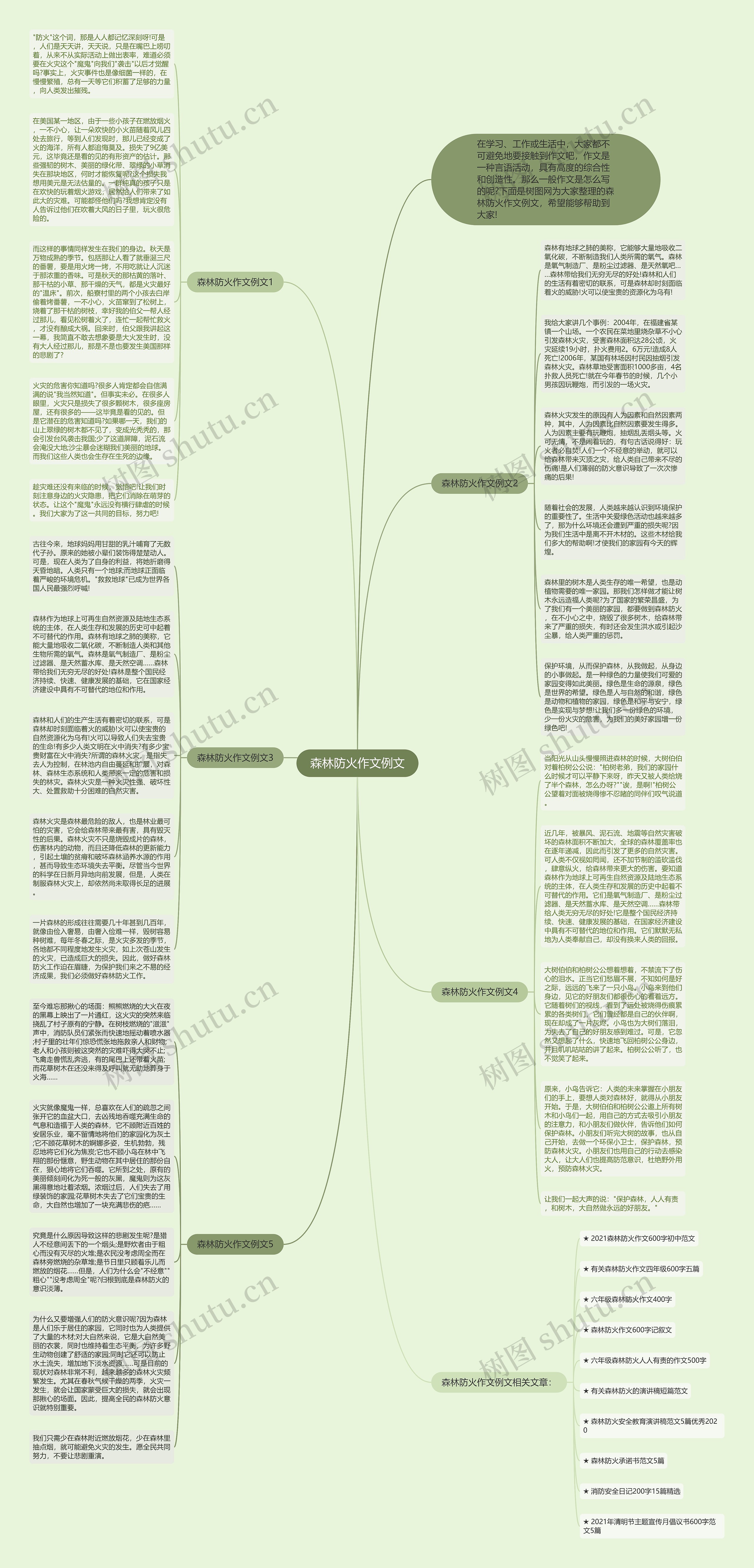 森林防火作文例文思维导图
