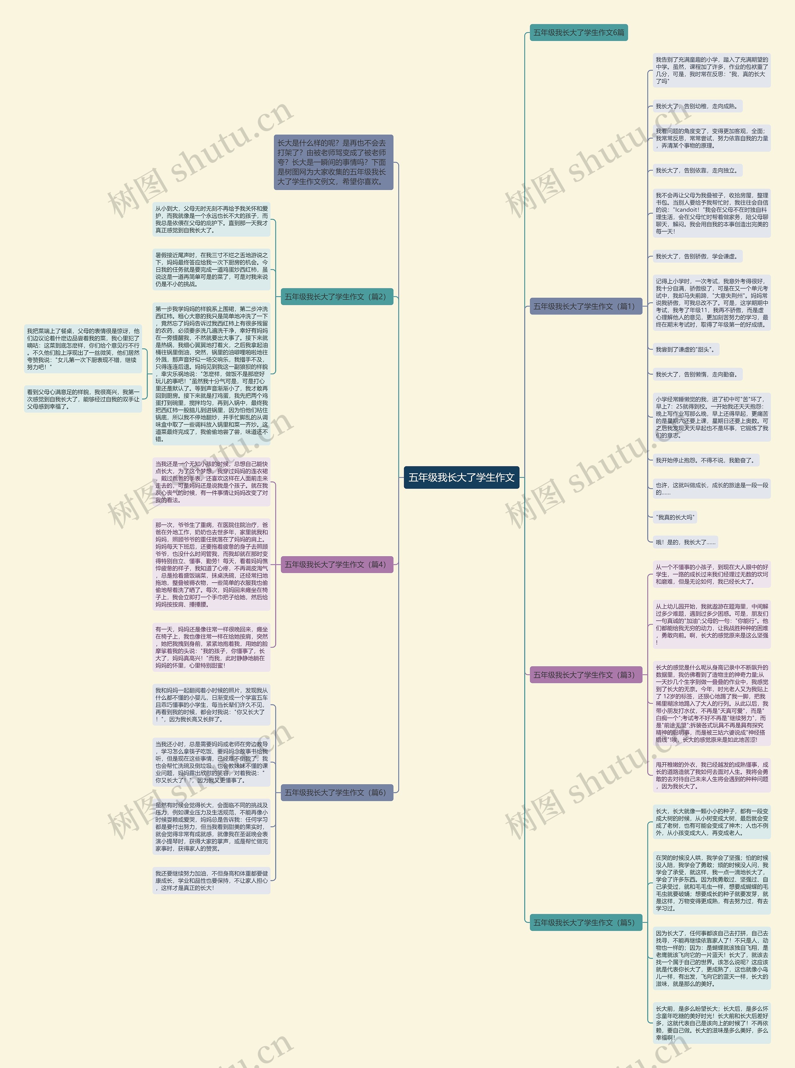 五年级我长大了学生作文思维导图