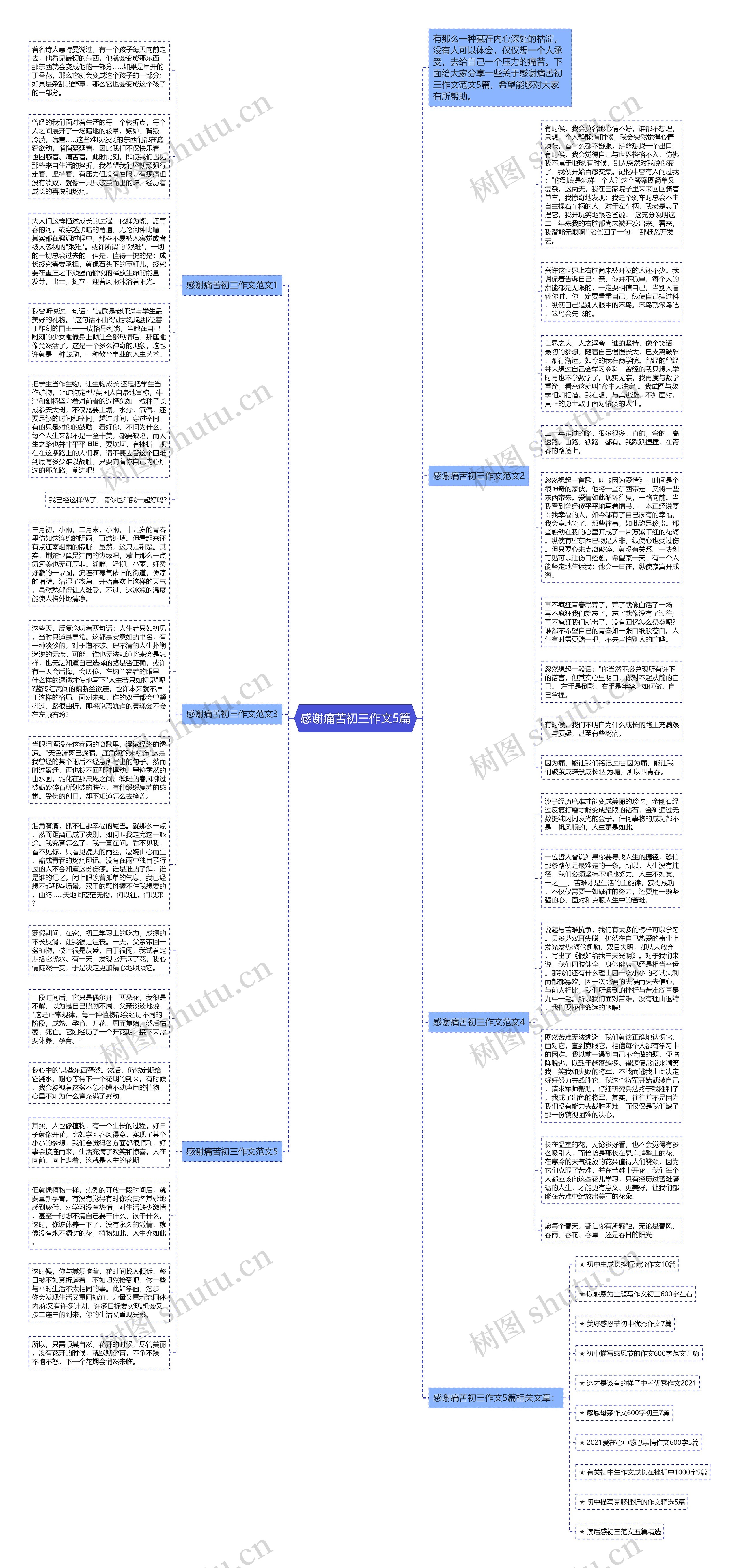 感谢痛苦初三作文5篇思维导图